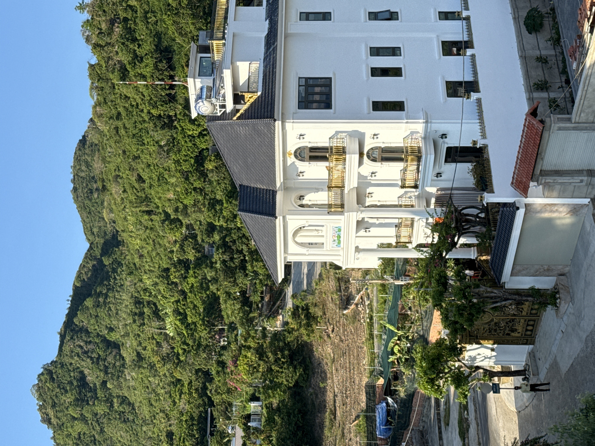 In the city of Bac Nha Trang Ward, Vietnam, a large, multi-story white house with ornate gold balconies stands prominently against a backdrop of lush green mountains. The house features multiple arched windows and a dark-tiled roof. A person in a light-colored shirt and dark pants is standing on a paved pathway in front of a large, intricately designed golden gate. The pathway leads to the house, and to the left of the gate, there are two trees with abundant green foliage. The environment appears to be a developed area, with some agricultural structures and netting visible in the middle ground, suggesting a mix of residential and possibly agricultural use. The sky is clear and blue, indicating fair weather.