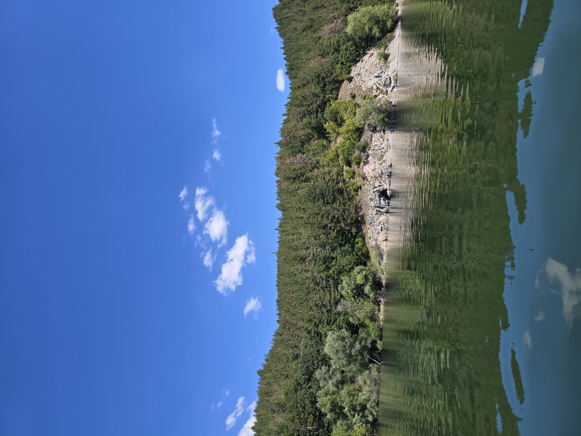 A wide-angle, eye-level, full shot captures a serene natural landscape. The upper half of the image is dominated by a clear, bright blue sky with a few small, wispy white clouds scattered across it. The lower half of the image showcases a tranquil body of water, likely a lake or reservoir, its surface reflecting the vibrant green of the treeline and the blue of the sky.
Along the far bank of the water, a dense forest stretches across a gently sloping hillside. The trees vary in shade, from deep green evergreens to lighter green deciduous trees, suggesting a mixed forest composition. Interspersed within the foliage are rocky outcrops and lighter-colored patches of earth. The shoreline itself is a mix of rocks and vegetation. The overall impression is one of natural beauty and peacefulness. There are no people or man-made structures visible in the frame. The scene is devoid of any action or interaction, presenting a static, natural environment. The lighting suggests a bright, sunny day.