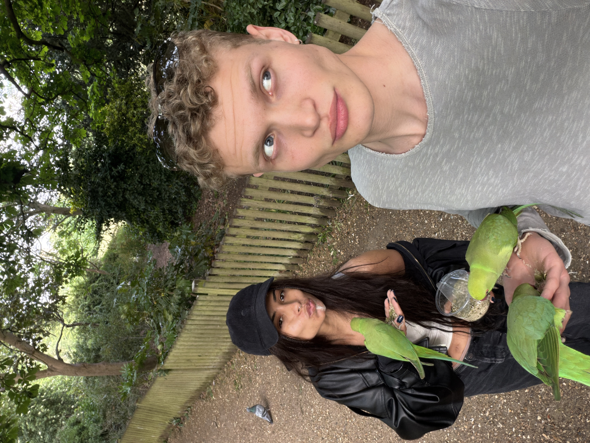 The image shows two people, a man and a woman, standing in what appears to be a park or wooded area in the city of London, United Kingdom, based on the presence of rose-ringed parakeets, which are common in London parks. The man has fair skin, curly blonde hair, and is wearing a gray shirt and sunglasses on his head. He seems to be holding the camera to take a selfie. The woman has dark hair, is wearing a black cap, a black leather jacket, and is holding a container of birdseed. She has birdseed around her mouth. Several green parakeets are perched on her hands and the container, eating the seeds. A wooden fence and trees are visible in the background. The ground appears to be dirt and gravel.