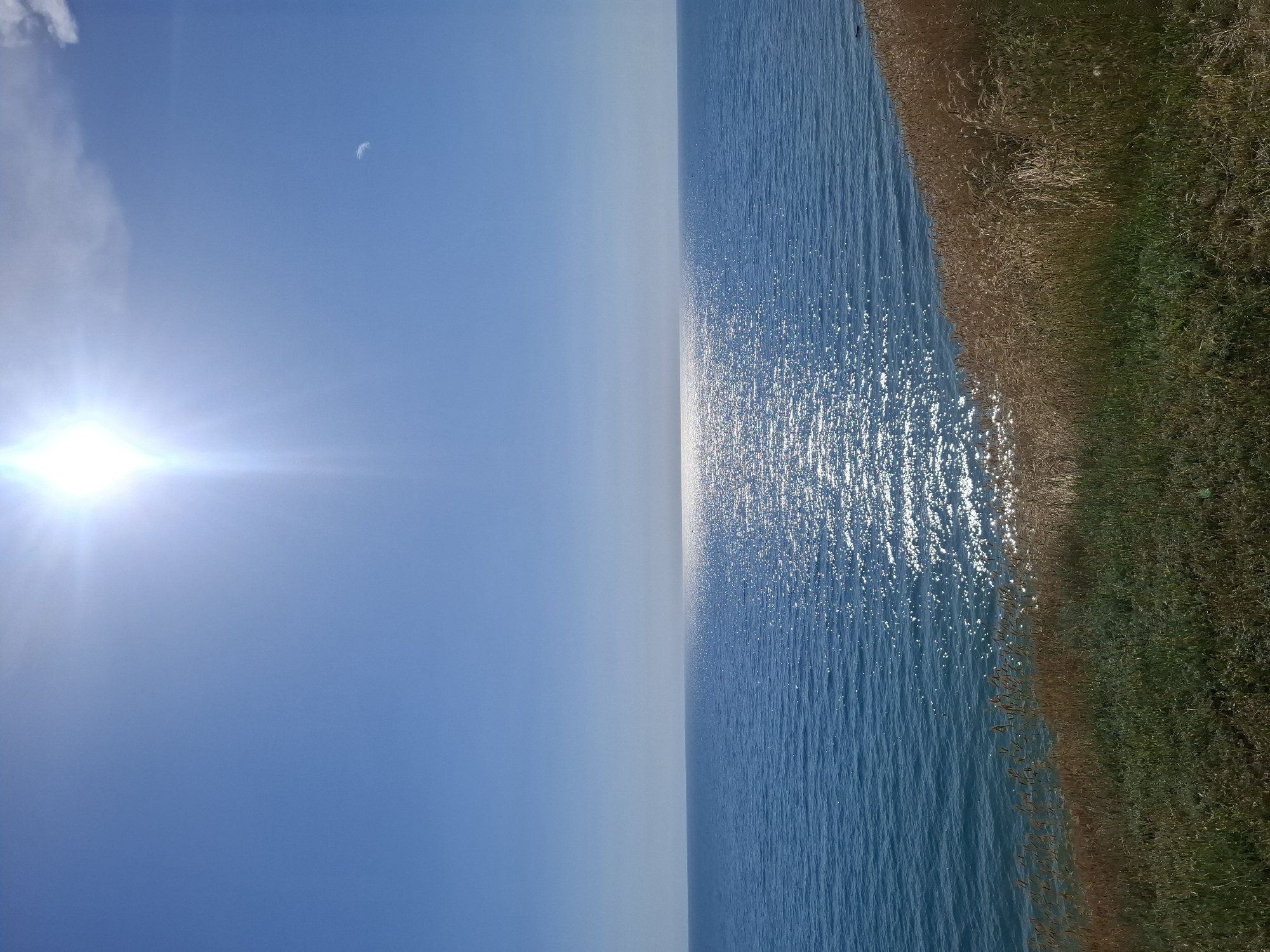 A wide, horizontal shot depicts a serene seascape under a clear blue sky. The sun, positioned high and bright, casts a shimmering reflection across the surface of the calm, deep blue water. The horizon line is crisp, separating the expanse of the sea from the sky, with a faint haze visible in the distance. In the upper right quadrant of the sky, a sliver of a crescent moon is barely discernible. The foreground features a grassy slope transitioning to taller, dry grasses that reach down towards the water's edge. The scene suggests a tranquil coastal environment, likely a clifftop overlooking the sea. The image is devoid of any human presence or man-made structures. Given the characteristic blue skies, clear waters, and coastal vegetation, this scene could be representative of a summer day along the Black Sea coast in Anapa, Russia, known for its picturesque beaches and seaside vistas.