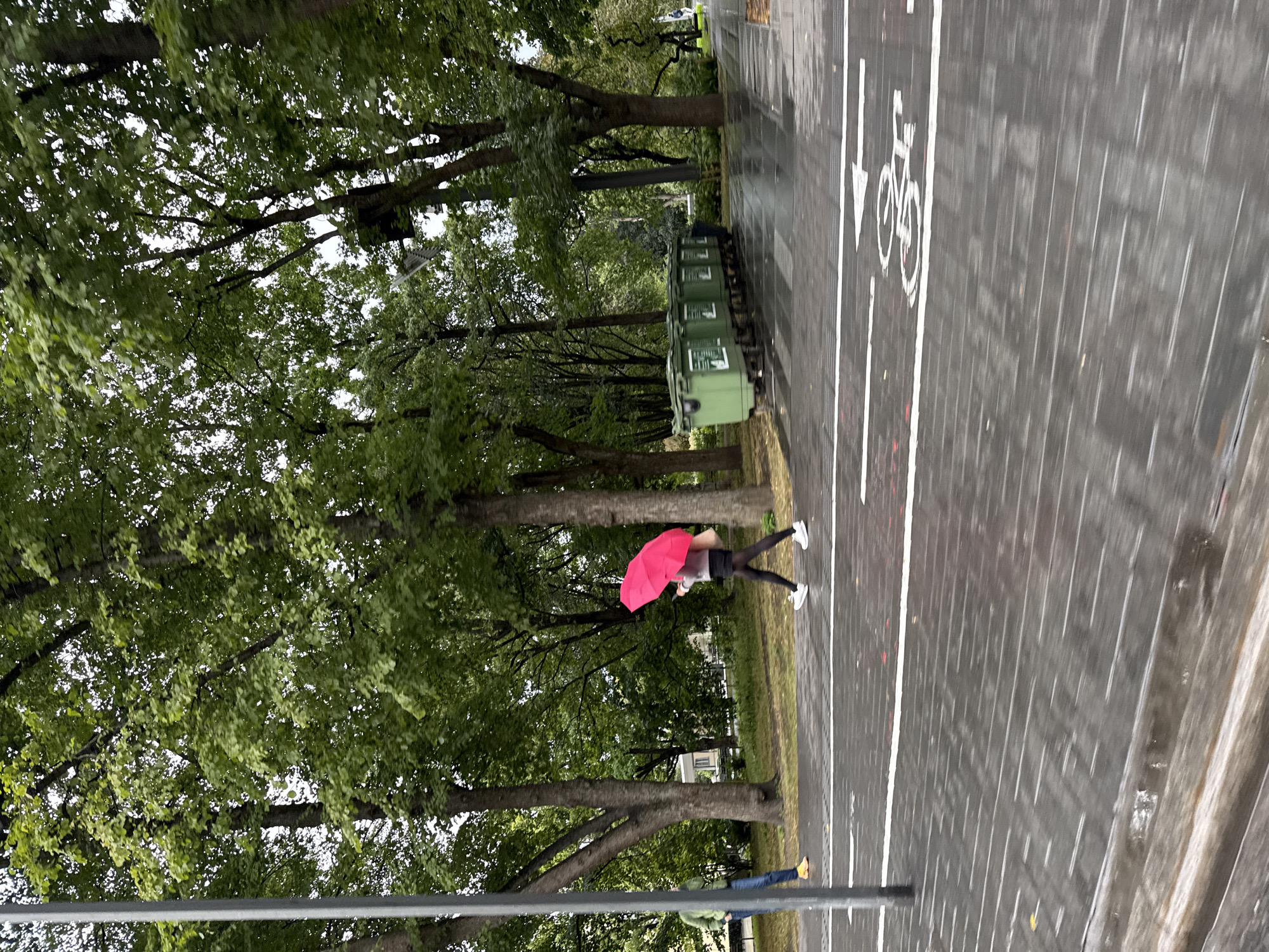 In Tallinn, Estonia, a person with a bright pink umbrella walks across a wet, grey, paved path. They are wearing dark leggings and white sneakers. To their left, another person in a green jacket and jeans stands on a darker grey path with yellow shoes. Behind them, a row of tall green trash bins sits on a separate path. The scene is bordered by lush green trees and a grey pole is visible on the left. A white arrow and a bicycle symbol are painted on the wet ground, indicating a bike lane.