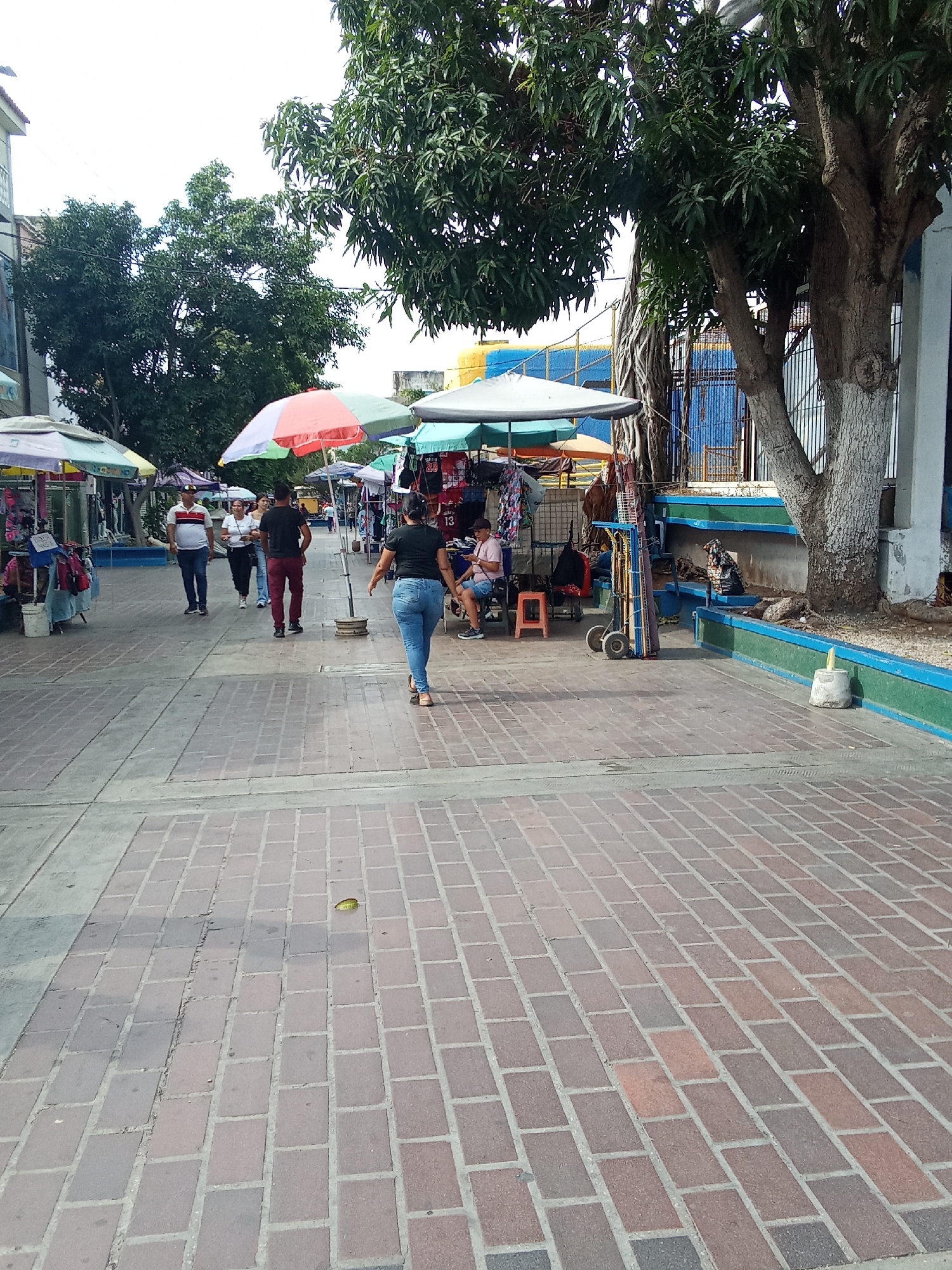 The image displays an outdoor pedestrian market street in Porlamar, Venezuela, under daylight. The foreground is a brick-paved walkway. Seven individuals are present. A woman in a black t-shirt and blue jeans walks away from the camera in the center. Behind her, a man in a black t-shirt and maroon pants also walks away. To their left, a man in a white and red striped polo shirt walks alongside a woman in a white top, and another woman in a light blue top. Multiple market stalls line both sides of the walkway, identifiable by various multi-colored umbrellas providing shade; prominent colors include light green, white, light blue, and a central red, white, and light green umbrella. Merchandise, including clothing items and a jersey with "13" visible, hangs from racks. On the right, a man in a light-colored shirt and shorts sits on a red plastic stool, engaging with a mobile phone. A yellow two-wheeled hand truck is parked nearby. A concrete planter, painted green and blue, borders the right side of the path, with a black plastic bag and a white cylindrical object resting on it. Large trees with dense green foliage are visible on the right and in the background, partially obscuring a blue wall or fence. Buildings with light-colored facades are present in the far left background. The sky is bright and overcast.