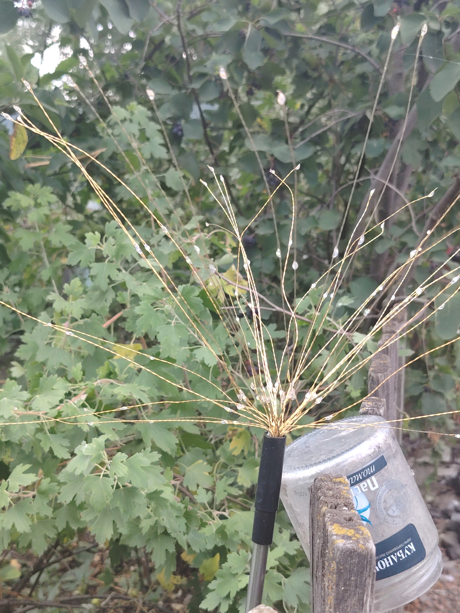 A solar-powered garden light resembling a dandelion seed head is positioned in front of leafy green bushes. The light has thin, wire-like stems with small, clear beads attached to them, some appearing to be lit. The base of the light appears to be a dark-colored rod. To the right of the light, a clear plastic container, possibly a food jar, is tilted and rests against a weathered wooden fence post. The container has Russian labeling, including "Паст" and "КУБАНЬ", suggesting it may be from a local product. The background consists of dense foliage from the bushes. The scene appears to be outdoors in a natural or garden setting. There are no people visible in the image.