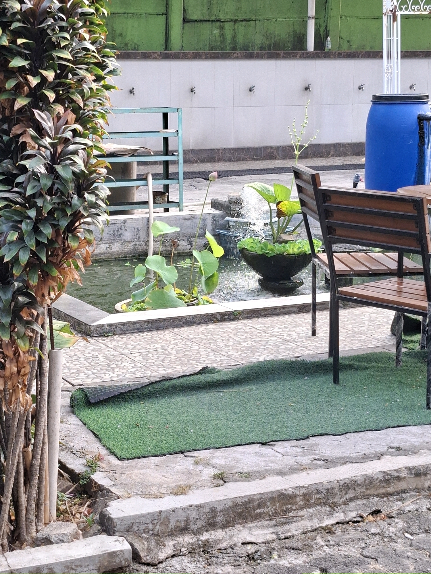 This image depicts an outdoor scene at a public facility in South Tangerang, Indonesia. In the foreground, there is a partially unrolled green artificial turf mat placed on a cracked concrete pathway. To the left, a large plant with dark green and reddish-brown leaves stands tall. Behind the plant, a pond with green water is visible, containing lily pads and aquatic plants.
In the middle ground, a black planter with floating green plants sits in the pond, with a small fountain spraying water into it. A light blue metal shelf unit stands behind the pond, holding some items. Further back, a white tiled wall with several water taps is prominent, with a large blue plastic water barrel to its right. A white metal decorative gate is visible on the far right.
In the right foreground, a chair with a wooden seat and backrest, supported by a dark metal frame, is placed on the pathway, facing the pond. The overall environment suggests a recreational area, possibly a public garden or park, with elements of landscaping and water features. The lighting indicates it is daytime, with shadows cast on the ground.