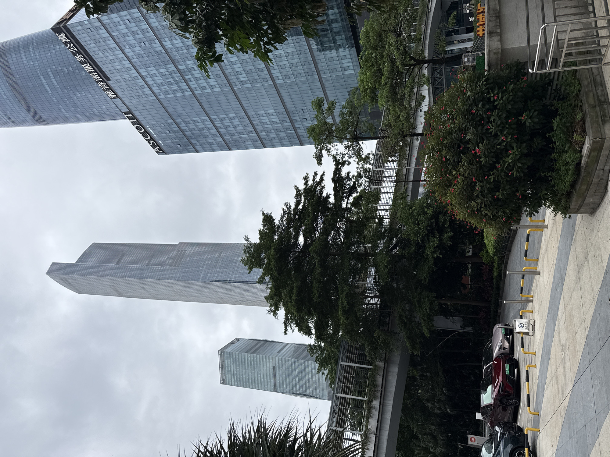 The image shows a view of a modern urban environment in Tianhe District, China. In the background, towering glass skyscrapers dominate the skyline under an overcast sky. The tallest building on the right displays the "ASCOTT" logo and Chinese characters, suggesting it is a serviced apartment building. Another skyscraper is visible to its left, and a third, even taller, building is positioned further to the left. A pedestrian overpass with metal railings and greenery runs horizontally across the mid-ground. In the foreground, several cars are parked in a designated area, demarcated by yellow and black bollards. A large, leafy shrub with small red flowers is situated to the right of the parking area. The ground in the foreground is paved with gray and white patterned tiles. The overall scene depicts a bustling city district with a blend of architecture and greenery.