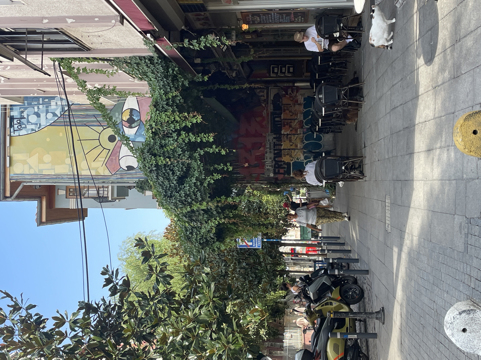 The image depicts a street scene in Kadıköy, Turkey, likely on a sunny day. A sidewalk cafe occupies the foreground, with numerous empty tables and chairs set up outdoors. Several people are visible: a woman in camouflage pants and a grey t-shirt walks away from the camera towards the left, a person in a white shirt sits at a table on the right, and another person in a white shirt is seated at a table further back to the left. A white and calico cat is walking on the pavement in the right foreground, and two dogs are lying down under the cafe tables in the background.
The cafe is covered by a dense canopy of green ivy, creating a shaded area. Behind the ivy, a building facade features a large, colorful mural of an eye with a sunburst motif, along with abstract shapes and text. Further down the street, several parked scooters and motorcycles are visible on the left side of the image. The street is paved with grey cobblestones. A blue traffic sign with white lettering is mounted on a pole near the parked scooters. The overall atmosphere is relaxed and casual, suggesting a popular spot for outdoor dining or leisure.