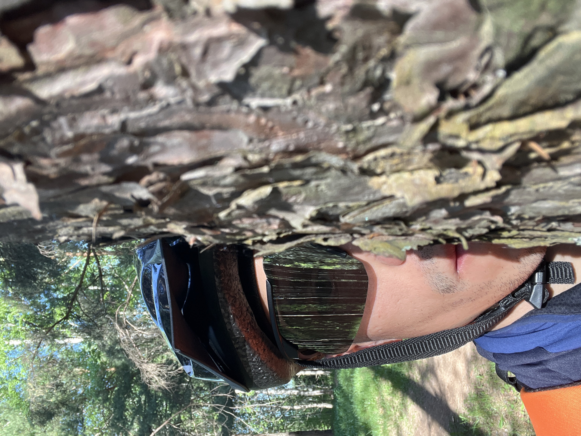 A rotated, close-up shot of a person wearing a cycling helmet and sunglasses. The person is positioned near a tree trunk with rough bark, visible in the background. Through the sunglasses, a forest scene with trees and greenery is reflected. The person is wearing a blue shirt with an orange strap. The location appears to be outdoors in a forested area. There is no information to identify the location as Chaikovsky, Russia.