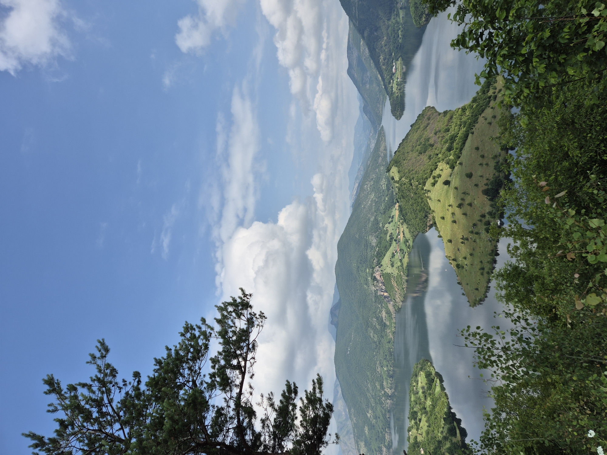 The image captures a vast and serene natural landscape, likely a river or reservoir winding through mountainous terrain in Ribartsi, Bulgaria. The main subject is the impressive body of water, characterized by its calm surface that perfectly mirrors the sky and clouds above. Lush green mountains and hills rise steeply from the water's edge, covered densely with trees and dotted with occasional grassy clearings, particularly on the rounded hills in the midground. The water meanders through these valleys, creating distinct landforms that jut into the calm surface.
In the foreground, the scene is framed by dark green foliage. On the left, the branches of a pine tree extend into the shot, while on the right, leafy green bushes and trees partially obscure the view, adding depth. The sky is partly cloudy, displaying a clear blue expanse interspersed with fluffy white cumulus clouds and lighter, wispy formations. These clouds are prominently reflected in the still water below.
The time of day appears to be daytime, with bright natural light illuminating the entire scene. The weather is fair, with a mix of sun and clouds. No specific human activity or event is visible, highlighting the untouched beauty of the natural environment. There is no visible text in the image. The overall impression is one of tranquility and grandeur, showcasing a picturesque natural vista.