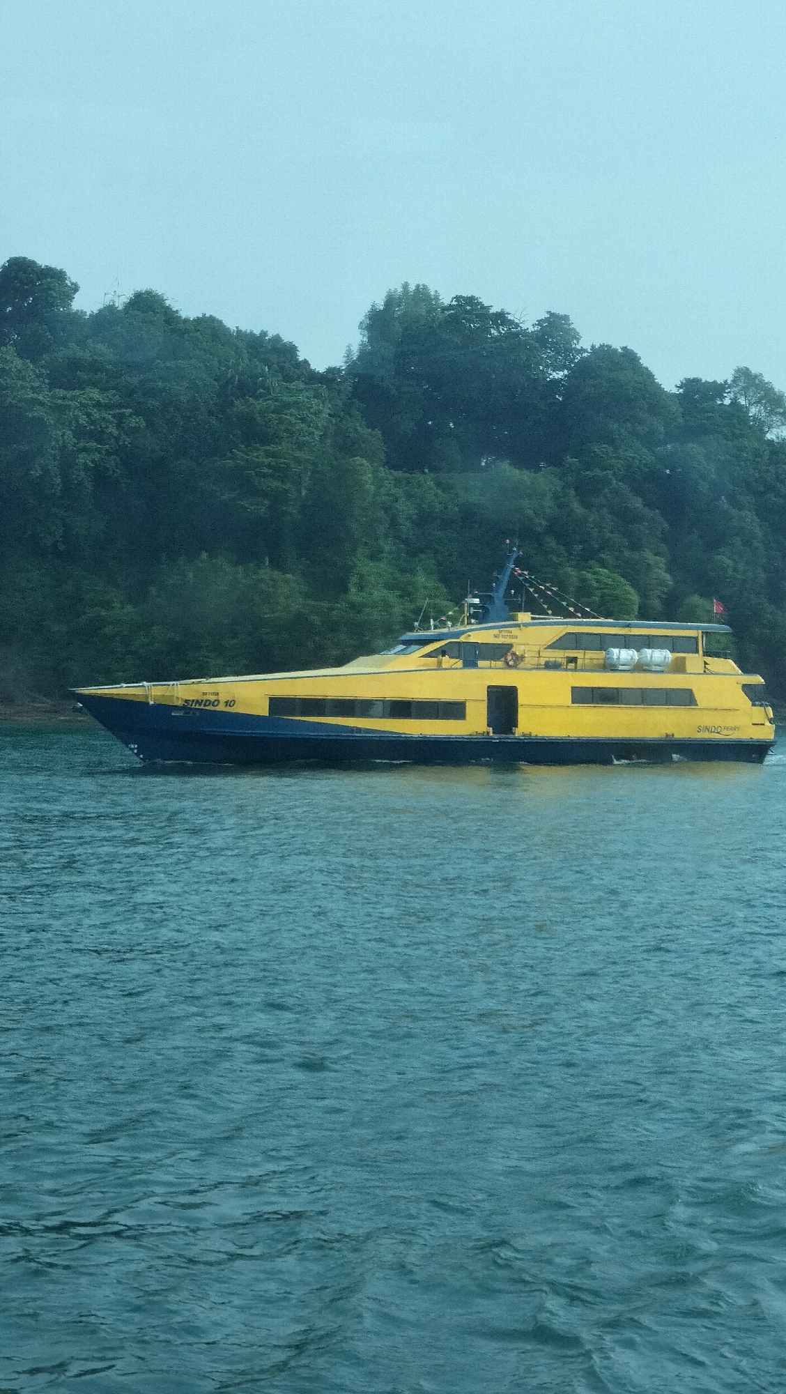 A yellow and blue ferry named "SINDO 10" travels on the turquoise water of Singapore. The ferry is long and sleek with multiple windows and a raised deck. Lush green trees line the background of the image, indicating a coastal or island setting. The sky is overcast and a light blue color. The scene appears to be captured from a boat, with ripples on the water suggesting movement. There are no people clearly visible on the ferry or in the surrounding environment. The overall atmosphere is calm and natural.