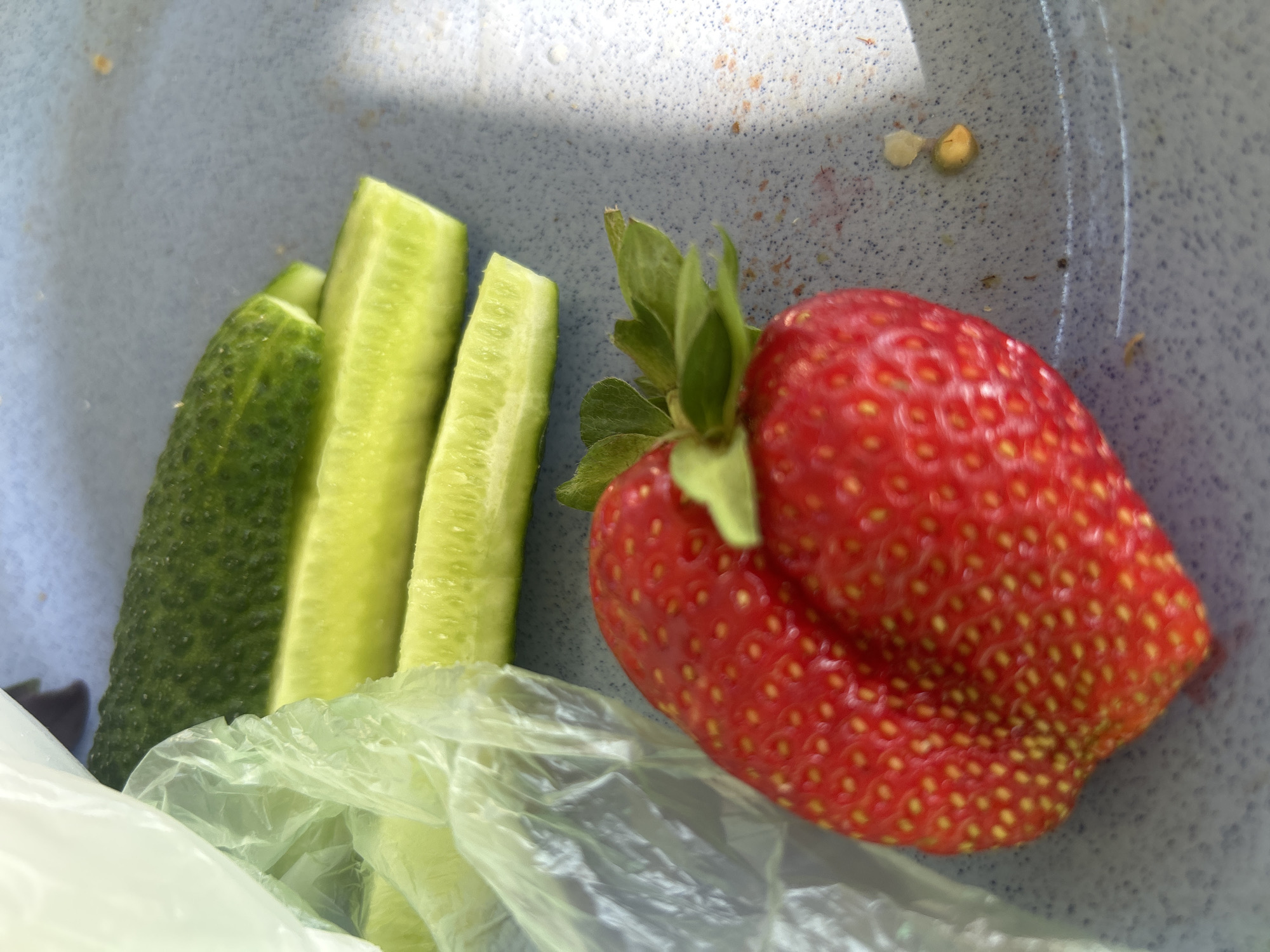 A close-up, overhead shot captures a ripe strawberry resting on a light blue speckled plate. The strawberry, with its vibrant red skin and visible yellow seeds, is positioned in the lower left of the frame. To the right and behind the strawberry, several segments of cucumber are visible, showing their pale green flesh and textured skin. To the left of the cucumbers and partially obscuring them is a crinkled, translucent plastic bag. The plate appears to be outdoors, as suggested by a shadow cast from the upper right corner, indicating a sunny environment. The background is out of focus. There is no information in the image to determine its location in Lotoshino, Russia.