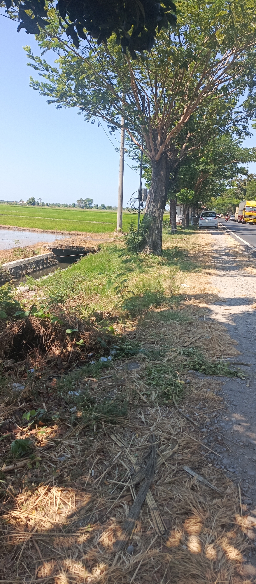 The image depicts a roadside scene in Landangan, Indonesia, with a focus on the natural and man-made elements present. On the left, a lush green rice paddy extends into the distance under a clear blue sky, with a small concrete-lined canal running alongside the road. A rudimentary bridge made of straw and wood crosses the canal. The roadside itself is characterized by dry, straw-like vegetation and some green foliage, with a large tree dominating the foreground. Further down the road, several cars are parked, and traffic is visible in the distance, including a yellow truck and motorcycles. Utility poles with coiled wires are also present along the roadside. The overall impression is of a rural or semi-rural area on a sunny day.