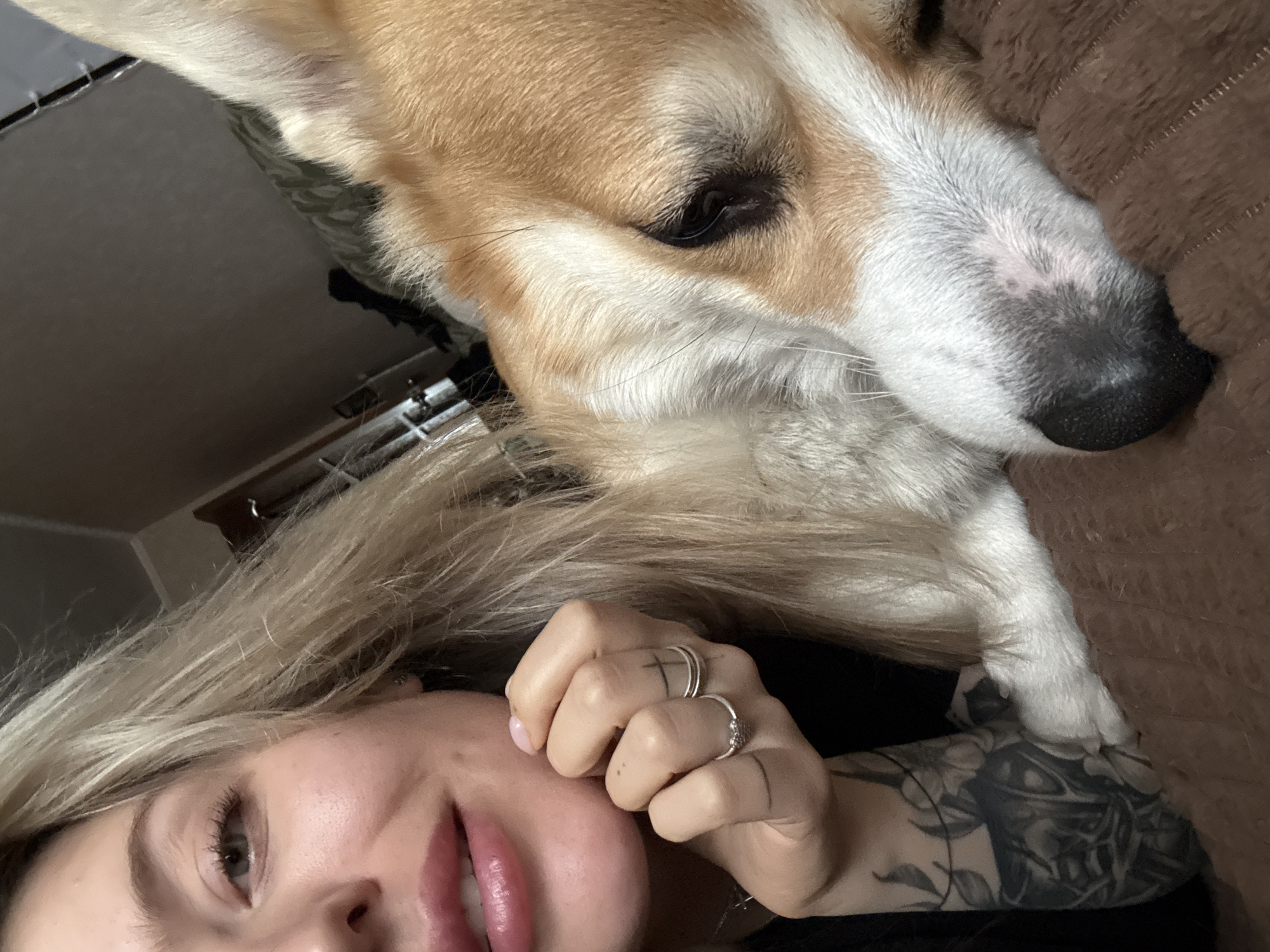 This close-up image is a selfie featuring a person and their dog in an indoor setting, likely a home. The person, positioned in the lower left, appears female with long blonde hair, light eyes, and light pink lipstick. She has several rings on her left hand, including two simple bands on one finger and a patterned ring on another. Visible tattoos adorn her left arm, one featuring a floral design and another a darker, intricate pattern.
Resting above and slightly behind the person is a dog, possibly a Corgi or a similar breed, characterized by its light brown and white fur. The dog's eye is partially closed, suggesting it is relaxed or sleeping, while its snout displays white fur with subtle greyish-black markings and a black nose. One of the dog's white paws gently rests on the person's tattooed arm.
The background primarily consists of a dark surface behind the person's head and a brown, textured fabric, possibly a blanket or cushion, where the dog is resting. The overall scene conveys a calm and affectionate moment between the pet owner and their dog. The emotions depicted are relaxed and peaceful. There is no visible text in the image, and while the context provided is Borzya, Russia, the image itself lacks specific visual cues to confirm this location. The time of day is not discernible.