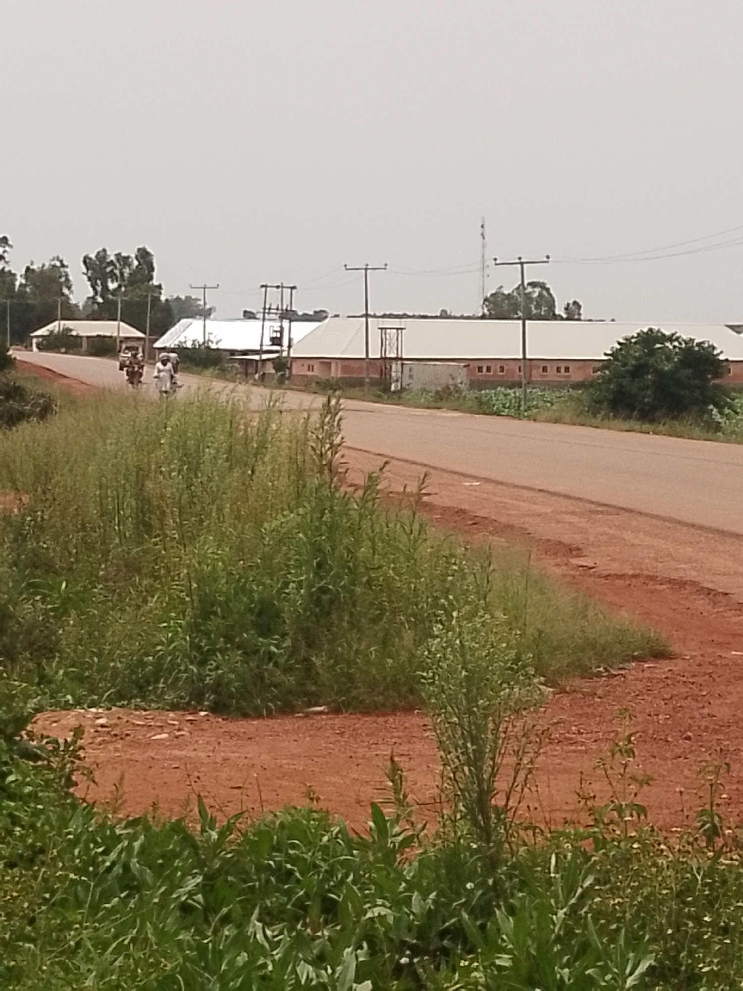 The image depicts a paved road in Agwala, Nigeria, with lush green vegetation lining its sides. In the distance, several buildings with white, corrugated metal roofs are visible, suggesting a semi-rural or developing urban setting. A cell tower can be seen in the background, along with utility poles and power lines, indicating infrastructure development.
Two individuals are seen riding a motorcycle on the road, approaching the viewer. They appear to be dressed in casual clothing. The weather is overcast, with a bright, diffused sky, suggesting it might be daytime, possibly in the morning or late afternoon. The road surface is dark asphalt, and the soil on the sides is a reddish-brown color, characteristic of many regions in Nigeria.
The overall scene conveys a sense of everyday life and movement in a Nigerian community. There are no discernible emotions evident from the image. The vegetation is dense and varied, with tall grasses and smaller leafy plants. The buildings in the background appear to be modern structures, possibly warehouses or institutional buildings. The presence of the motorcycle and the road points to transportation and connectivity within the area. The image offers a glimpse into the landscape and daily activities of Agwala.