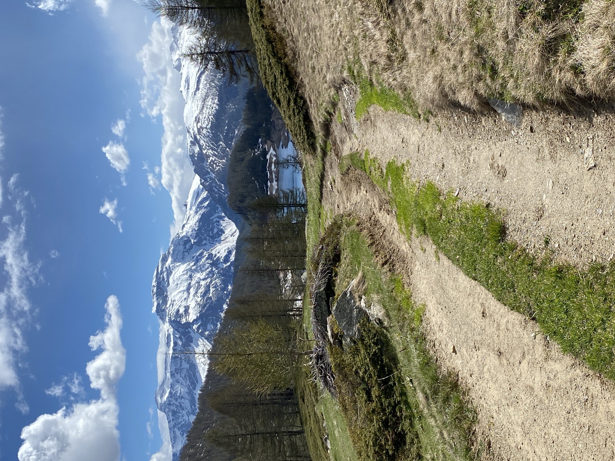 The image captures a landscape scene in Baceno, Italy. In the background, snow-capped mountains rise prominently under a sky with scattered clouds. A body of water is nestled among the trees and mountains. A dirt path, bordered by grass and vegetation, stretches diagonally across the right side of the frame. The path appears worn, suggesting it is frequently used. The image is oriented vertically.