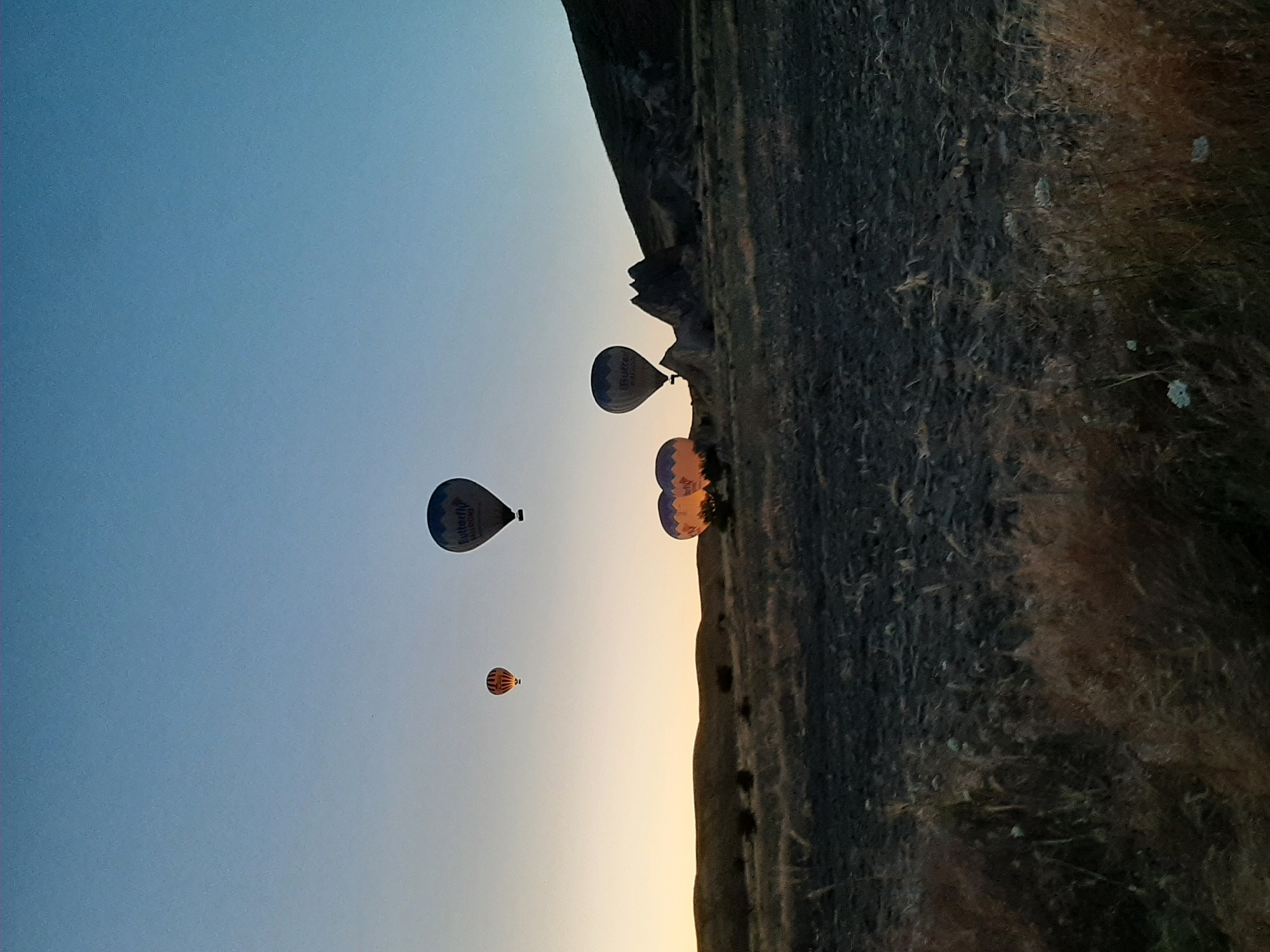 The image depicts a dawn scene in Cappadocia, near Avanos, Turkey, characterized by a clear, pale blue sky transitioning to a warm orange glow near the horizon. Several hot air balloons are airborne, with one prominent balloon in the mid-right displaying the "Butterfly Balloons" logo. To its left, two other balloons are illuminated from within by their burners, casting a warm orange and yellow light. Further left, a smaller balloon with orange and brown stripes is visible. The landscape below consists of rolling hills and a grassy, somewhat barren field with dry vegetation. In the background, distinctive rock formations, typical of Cappadocia's unique geology, rise from the terrain. The overall atmosphere is tranquil, suggesting an early morning hot air balloon tour.