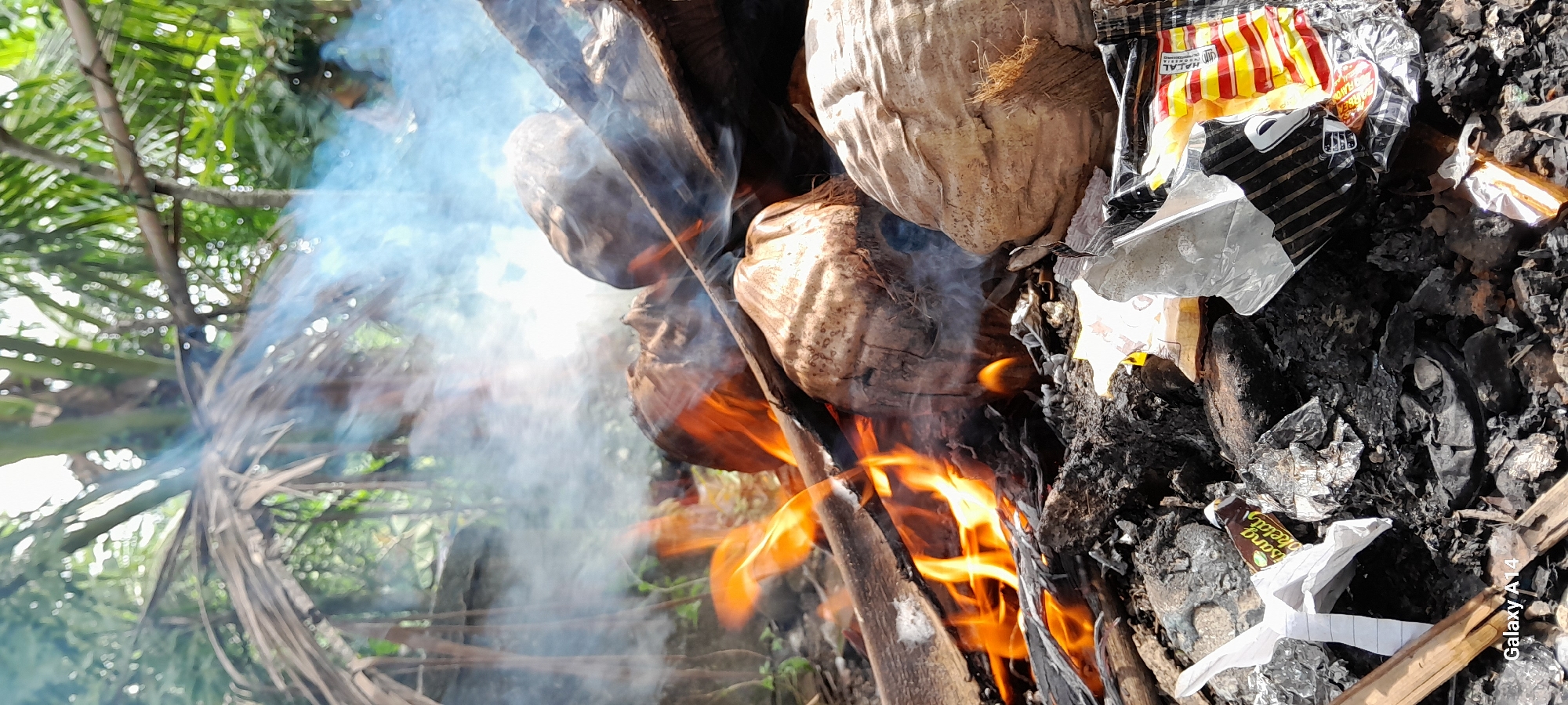 In a rural outdoor setting, likely near the city of Tanjong, Indonesia, a fire burns amidst debris and natural elements. Three coconuts, partially charred, are positioned in the foreground, with flames licking at them and surrounding wood. Smoke billows upwards, partially obscuring the background which consists of dense foliage and palm fronds, indicating a tropical environment. The ground is covered in ashes, burnt wood, and scattered refuse, including plastic wrappers and a torn piece of paper, one of which is a candy wrapper with text in Indonesian. The scene depicts the burning of organic material, possibly for disposal or a specific purpose, in a natural or semi-developed outdoor area. The presence of the "Galaxy A14" watermark suggests the image was captured using a Samsung Galaxy A14 smartphone.