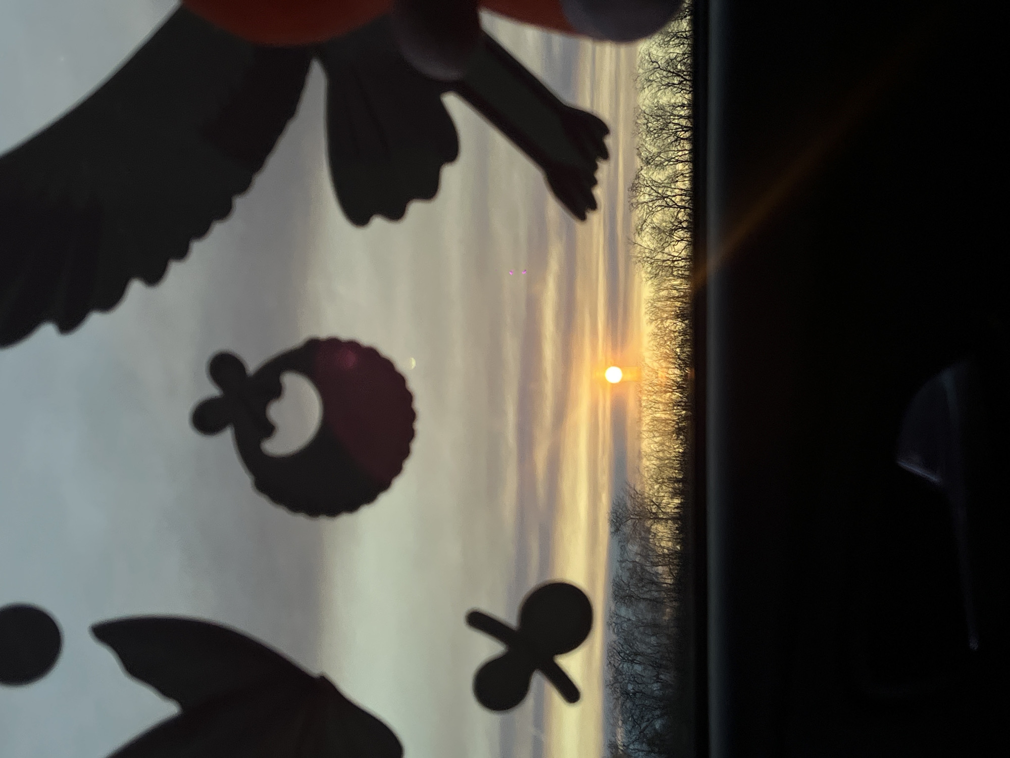 The image captures a peaceful sunset or sunrise scene viewed through a window, likely from inside a vehicle. The bright, orange sun is prominent, positioned low on the horizon towards the right side of the frame. Below the sun, a dense line of bare trees with intricate, skeletal branches forms a dark silhouette against the glowing sky, stretching across the horizon. The sky above is filled with soft, streaky clouds, displaying a gradient of warm golden and orange tones near the sun, transitioning to cooler grays and light blues further up.
In the immediate foreground, several dark, blurred silhouettes are visible against the bright sky, suggesting objects placed close to the camera, possibly hanging decorations or items inside the car. These include what appears to be part of a plush toy or decoration in the top left, featuring a large, dark, scalloped wing-like shape and a glimpse of a red/orange body. Another circular silhouette with a small dot is seen lower down on the left. Towards the bottom-middle, a distinct dark silhouette resembling a baby pacifier is visible. A dark, indistinct area on the far right side of the image suggests the interior of a vehicle, possibly a window frame.
The scene evokes a calm and contemplative mood, characteristic of the golden hour. The bare trees indicate a temperate climate, consistent with late autumn or winter in Vyselki, Russia. No visible text is present in the image.