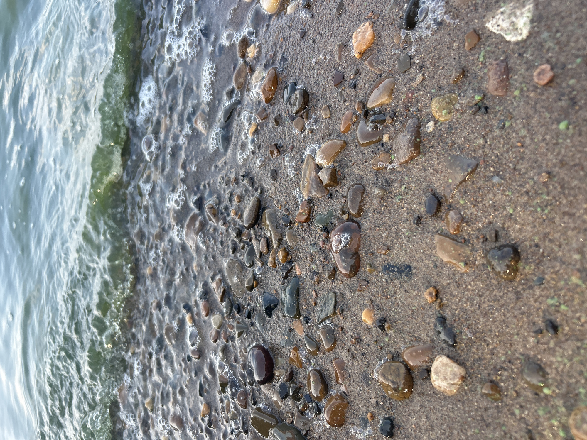 The image shows a close-up, angled view of a sandy shoreline with small pebbles and shells. The water's edge is visible on the left, with gentle waves lapping at the shore, creating foamy bubbles. The pebbles are of various colors, including brown, gray, and some lighter, sandy hues. Some are wet and shiny, while others appear drier. The sand is a light brown color, with some darker grains mixed in. Small flecks of what might be green algae or plant matter are scattered on the sand in some areas. The lighting suggests it is daytime, possibly late afternoon or early morning, given the warm tones on some of the stones. There are no people or animals visible, and the scene conveys a sense of tranquility and the natural environment of a beach or riverbank. The location is identified as Chaikovsky, Russia. There is no visible text in the image.