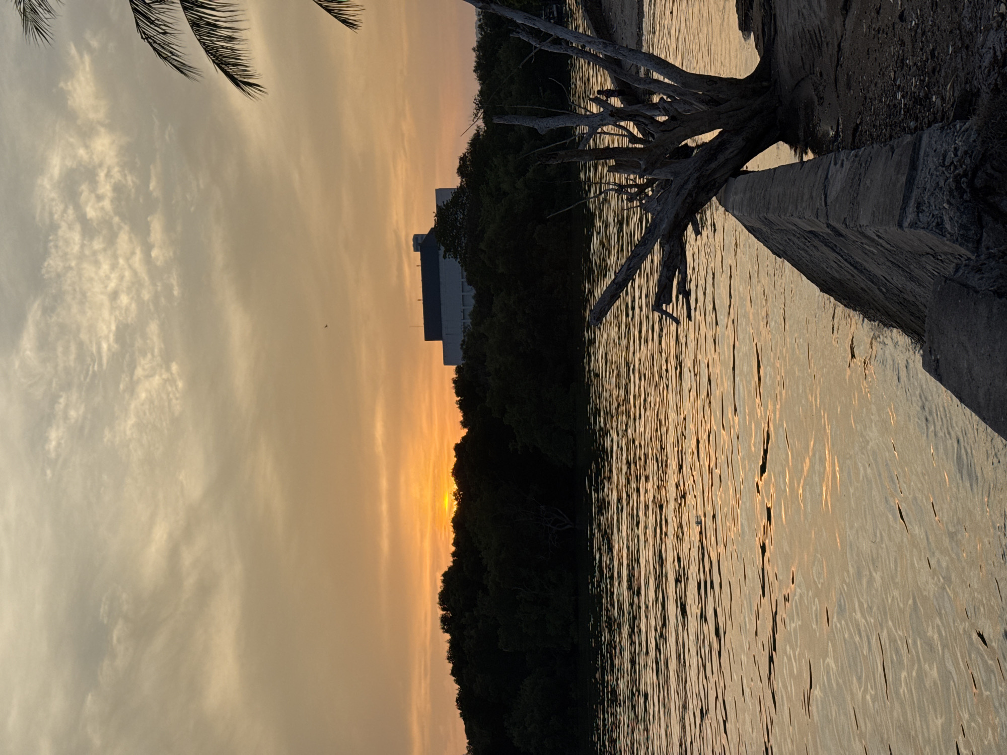 The photograph shows a sunset over water, likely taken in or near Phuket City Municipality, Thailand. The sun is setting behind a dense green treeline, silhouetting the trees against the orange and yellow sky. A multi-story building is partially visible behind the trees. The water reflects the sunset colors, creating a shimmering effect. In the foreground, there's a rough concrete structure with exposed tree roots, extending into the water. Palm fronds are visible in the upper left corner of the image.