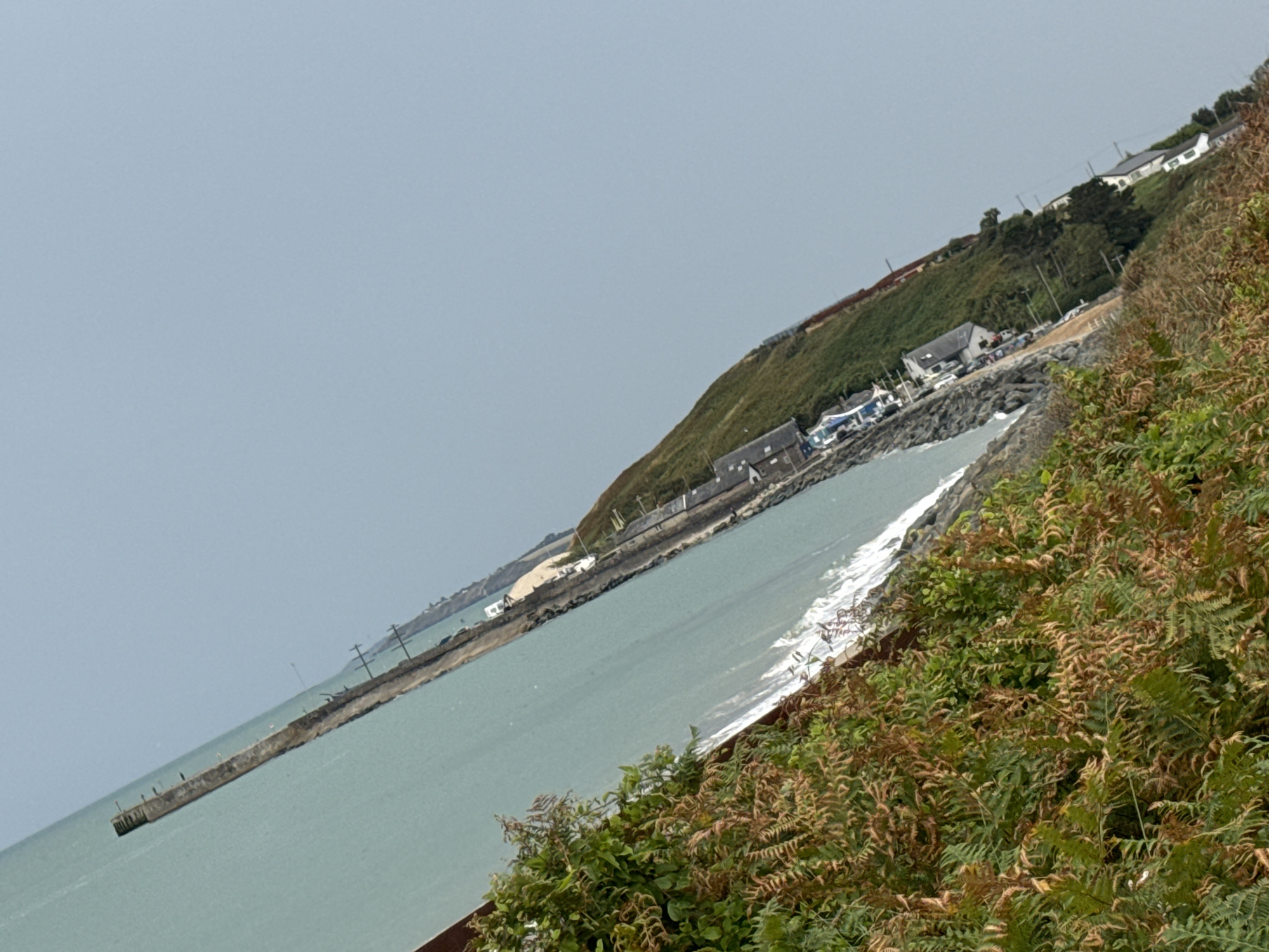 This image shows a tilted view of a coastal scene in Courtown, Ireland, with a body of water in the foreground and a grassy hill with buildings and a pier in the background. The water, likely the Irish Sea, is a muted teal color with small waves. A long, concrete pier extends diagonally from the left side of the frame into the water. The pier is dark and appears weathered, with some electrical poles visible along its length.
The hill slopes up from the water and is covered in green grass, with a few patches of brown, dry vegetation. Several white and grey buildings are nestled into the hillside, suggesting a small coastal community or resort. Some cars are parked near the buildings. The buildings appear to be houses or small businesses.
In the foreground, a dense patch of ferns and other leafy green and brown vegetation occupies the lower right portion of the frame, adding a naturalistic element to the scene. The sky is a pale, overcast grey, indicating a cloudy or hazy day. The overall impression is of a quiet, somewhat rugged coastal landscape.