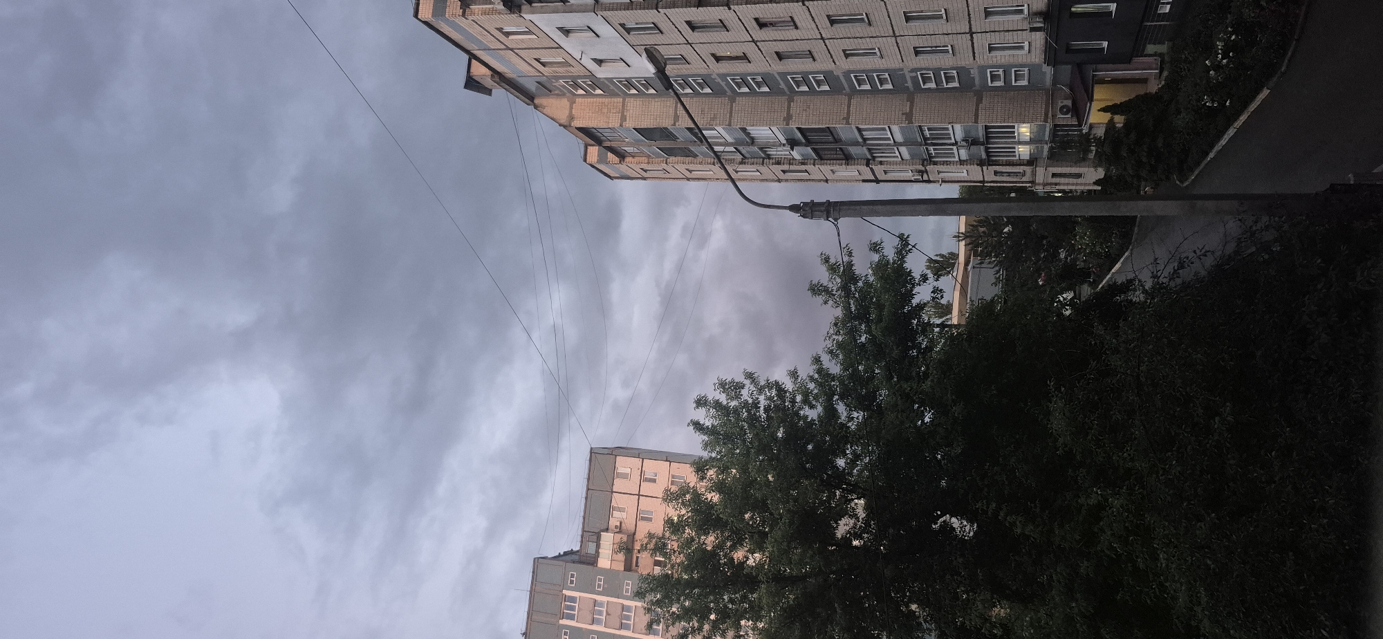 The image depicts a view of residential buildings and a tree-lined street under an overcast sky in Kryvyi Rih, Ukraine. On the left, a multi-story apartment building, likely constructed with concrete panels, is partially visible, with visible windows and balconies. To the right, another apartment building features a facade of light-colored bricks with darker brick accents and numerous windows. A street lamp with a curved arm stands on the right side of the image, adjacent to the brick building. A dark, dense tree with full foliage occupies the mid-left of the frame, obscuring part of the first apartment building. A paved road curves through the scene, bordered by greenery and bushes, some with visible white flowers. Utility wires are strung across the sky in the upper portion of the image. The overall atmosphere is subdued, suggesting a cloudy day, possibly during dusk or dawn, given the soft lighting. No people are discernible in the frame.