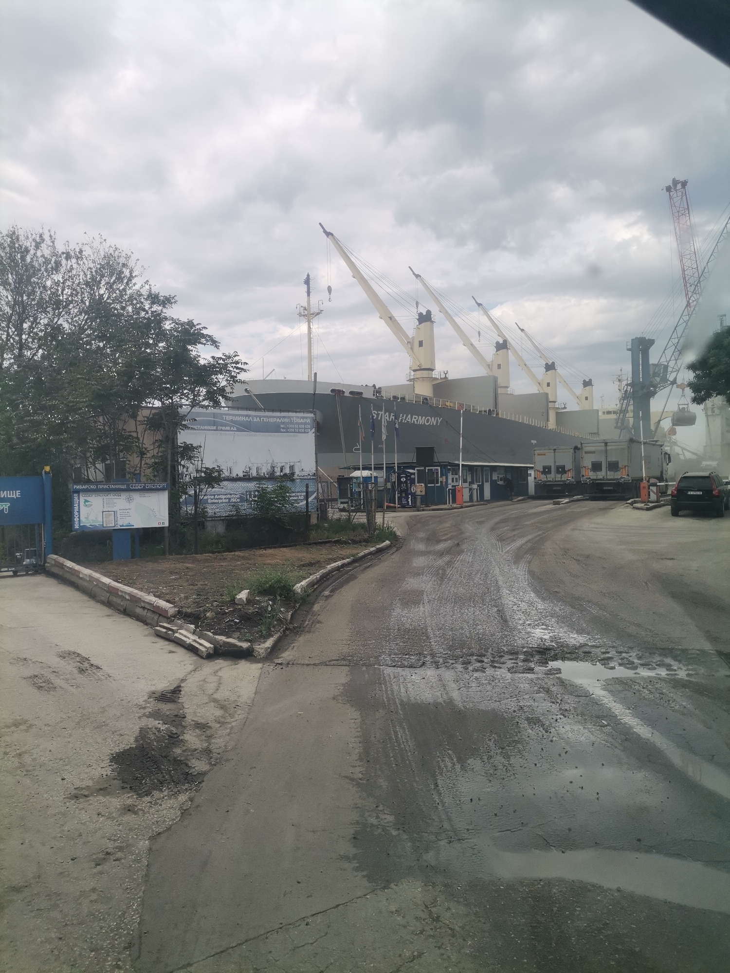 The image shows a port scene in Varna, Bulgaria. A large cargo ship named "STAR HARMONY" is docked alongside the pier. Several cranes are positioned near the ship, suggesting loading or unloading operations. There are also vehicles and what appears to be a security checkpoint with blue structures. Signage near the entrance includes the words "РИБАРСКО ПРИСТАНИЩЕ СЕВЕР ЕКСПОРТ" indicating a fishing harbor called "Sever Eksport" and "ТЕРМИНАЛ ЗА ГЕНЕРАЛНИ ТОВАРИ" meaning "Terminal for General Goods". The foreground features a weathered road with tire tracks and pooled water. The sky is overcast. A car appears to be parked just outside the security checkpoint. There is also visible smoke possibly coming from a crane.
