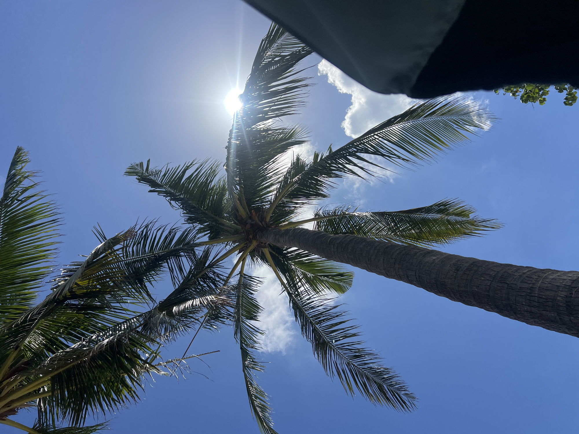 A low-angle view of a tall, rough-barked coconut palm tree against a bright blue sky. Sunbeams pierce through the palm fronds, creating a lens flare effect. A few white clouds are visible in the sky. In the lower right corner, a dark object, possibly part of an umbrella or awning, is visible, casting a shadow. The scene is set in Kuta, Indonesia, suggesting a tropical beach environment. There are no people or animals visible in the image.