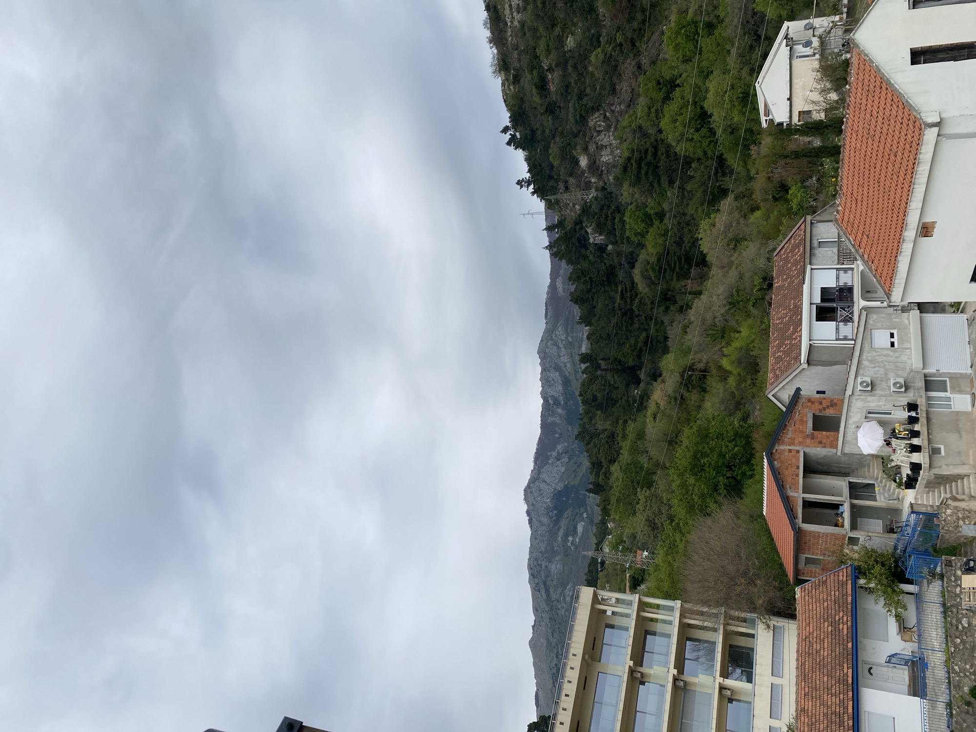 The image shows a mountain landscape scene in or near Budva, Montenegro, under a cloudy sky. The foreground features buildings with a mix of architectural styles, including modern apartments with large glass windows and traditional houses with red tile roofs. Some buildings appear to be under construction. The mid-ground is dominated by a lush, green mountain slope with visible power lines running through the trees. The background is a rocky mountain range partially obscured by the overcast sky. There are no people visible in the scene.