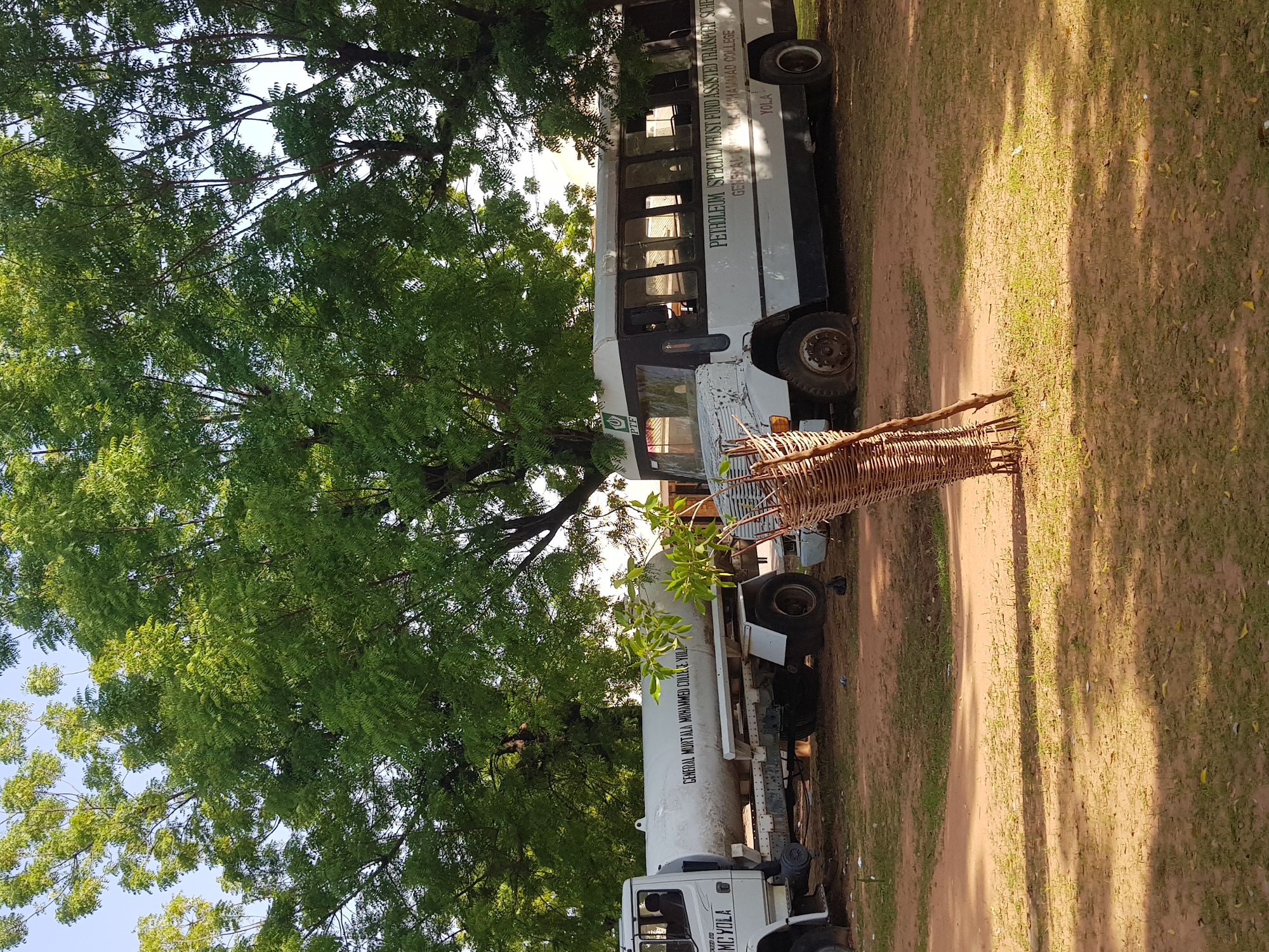 This image depicts a scene in Jimeta, Nigeria, likely within the grounds of General Murtala Mohammed College. The foreground is dominated by a patch of dry, sandy earth with sparse green grass and scattered fallen leaves. In the mid-ground, two large vehicles are parked side-by-side under the shade of lush green trees. On the left, a white tanker truck is visible, with the text "GENERAL MURTALA MOHAMMED COLLEGE YOLA" clearly printed on its side. To the right of the tanker is a white and black bus. The bus has the text "PETROLEUM SPECIAL TRUST FUND ASSISTED TRANSPORT SCHEME GENERAL MURTALA MUHAMMAD COLLEGE YOLA" written on its side. The bus appears older and shows signs of wear and tear, including a damaged front bumper. A woven wicker structure, possibly a decorative piece or part of a fence, stands in front of the bus, partially obscuring it. The background is filled with the dense foliage of large trees, casting shadows on the ground, and a clear blue sky is visible through the branches. No people are visible in the frame. The overall impression is one of a slightly neglected but functional educational institution's transportation area.