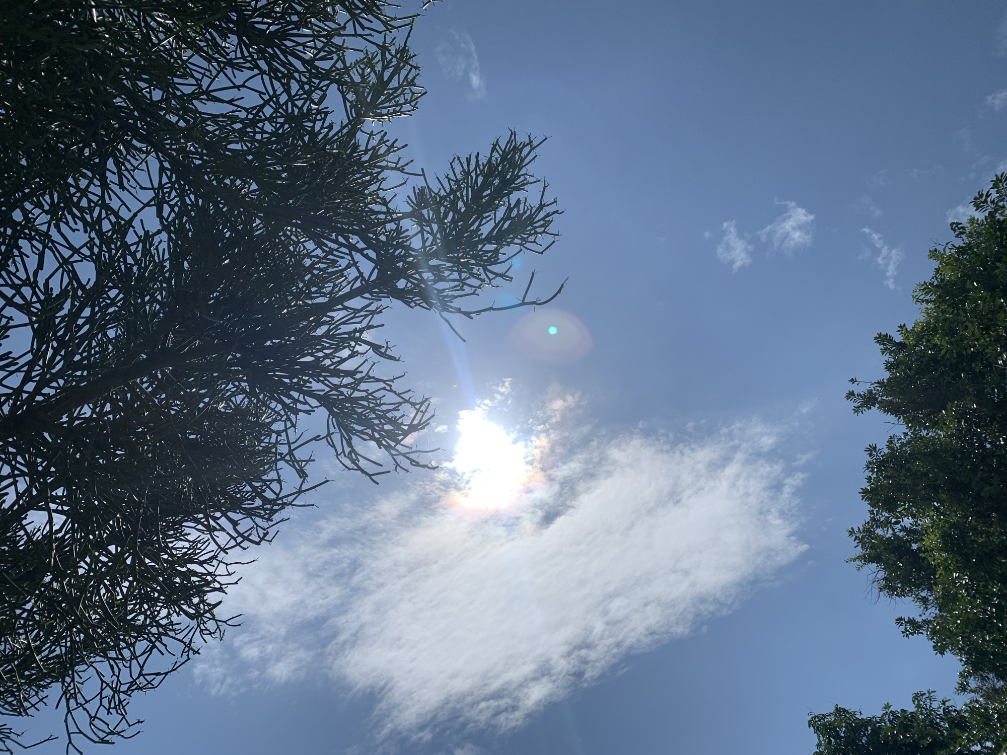 The image depicts a view of a bright blue sky with scattered clouds, partially obscured by the dark silhouettes of tree branches. The sun is a prominent element, with a lens flare creating a bright white and rainbow-colored halo. On the right side of the frame, the lush green leaves of a tree are visible, adding a contrasting element to the otherwise open sky. The scene suggests an outdoor setting, likely in a natural or park-like environment within Kuru Karama, Nigeria, where the presence of trees and a clear sky are common. There are no people or discernible actions in the image.