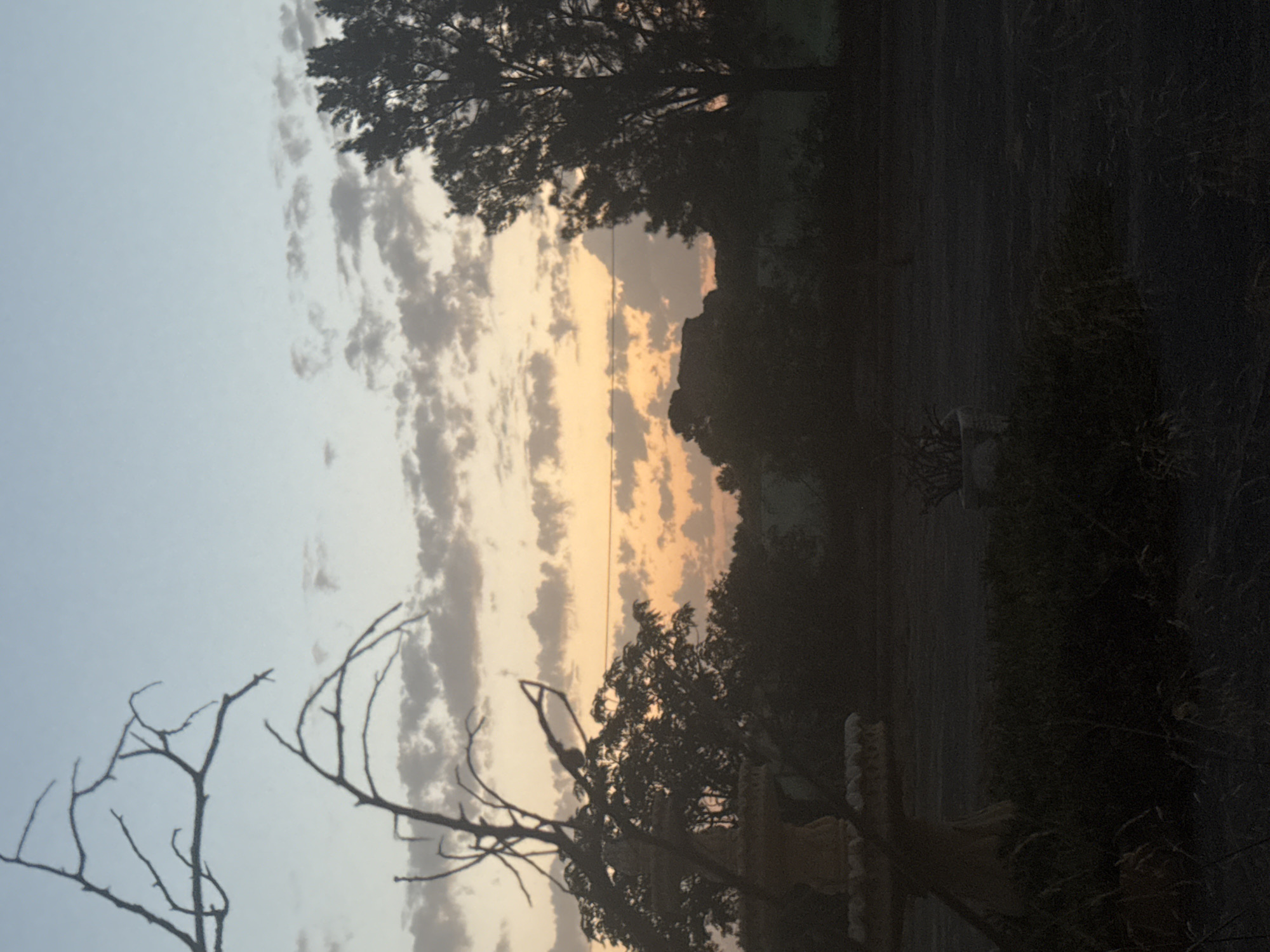 The image depicts a twilight scene with a dusky sky transitioning from light blue at the top to soft orange and yellow hues near the horizon. Scattered clouds are visible against the sky. In the foreground, a dry, leafless tree branch extends from the left side of the frame. To the right of the branch, a silhouette of a large tree with dense foliage is prominent.
In the mid-ground, a stone fountain with ornate detailing is partially visible on the left. A small potted plant is situated in the center of the frame. The background is filled with the dark silhouettes of trees and what appears to be distant vegetation. The overall impression is that of a serene, rural or semi-rural landscape at dusk. The location is identified as Corvera, Spain.