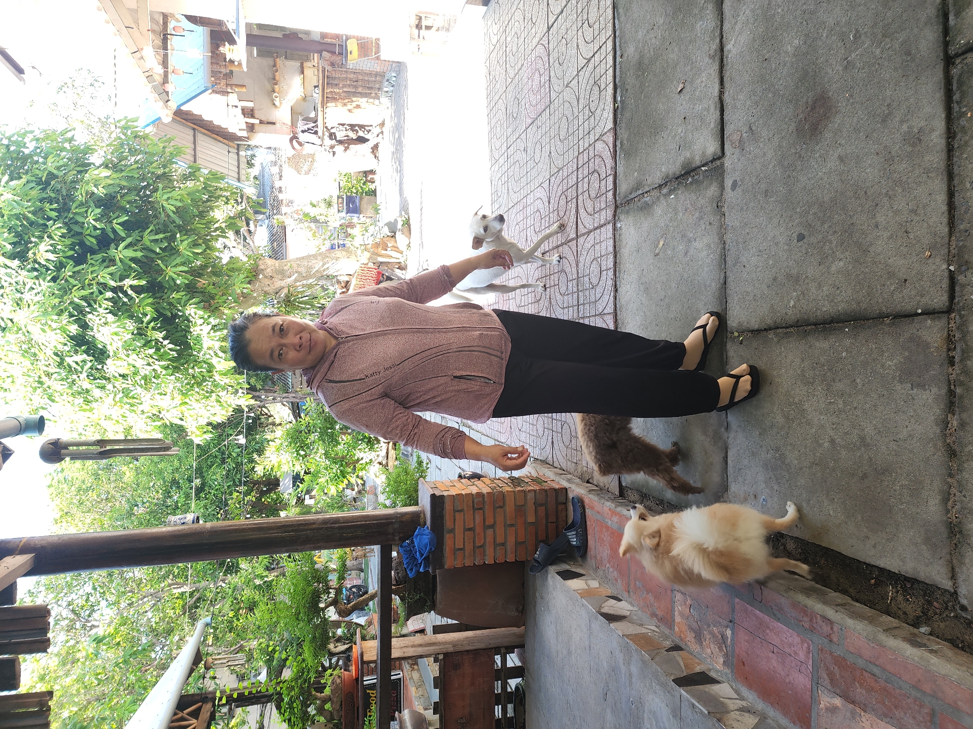 The image shows a woman standing on a paved outdoor area with two dogs. The woman is wearing a pink hooded jacket and black pants. To her left, a small, fluffy light-colored dog is looking up at her. To her right, a white dog is walking away from her. Behind the woman, the environment suggests a residential or a small business setting, with trees, buildings, and an outdoor seating area visible. The flooring is a mix of concrete and decorative tiles. The scene appears to be in an urban or semi-urban environment in Phan Thiet Ward, Vietnam.