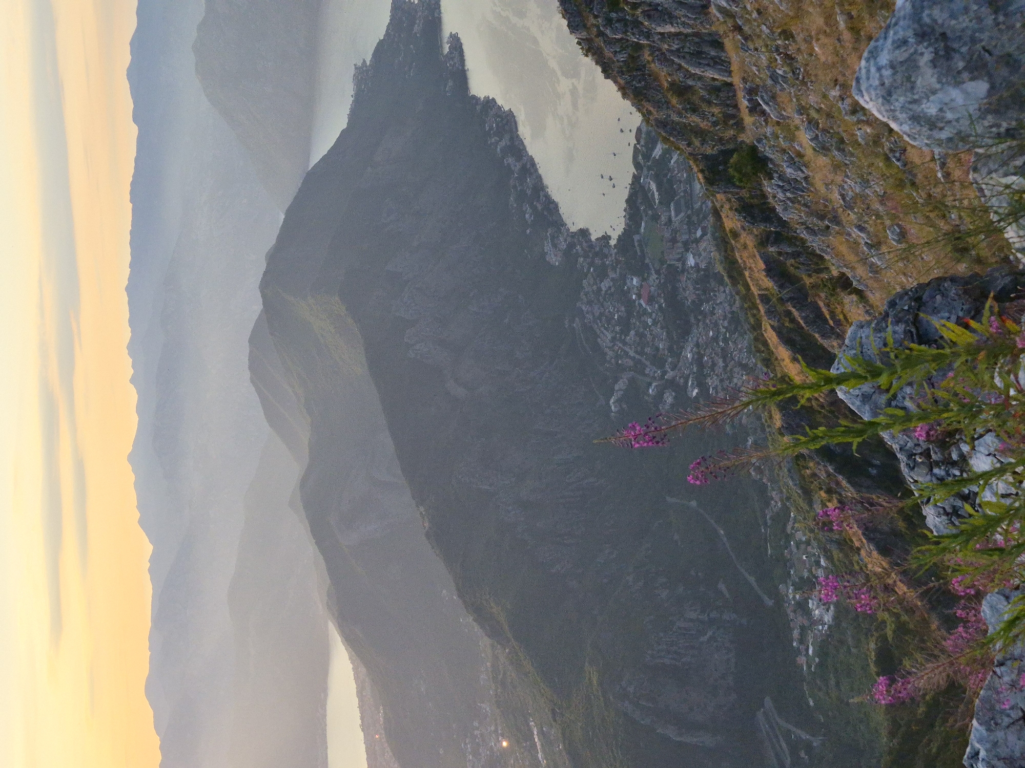 This is a high-angle, medium shot of a mountainous coastal landscape at sunset. The sky is a soft gradient of yellow and orange. In the foreground, rocky terrain is dotted with dry grass and several stalks of purple wildflowers. Beyond the foreground, a steep, dark green mountain slopes down towards a bay or fjord. A coastal town with many buildings is nestled along the shoreline, with boats visible on the water. Further in the distance, additional layers of hazy, blue-gray mountains recede into the horizon. The city of Kuk, Montenegro, is identified as being present in the scene.
