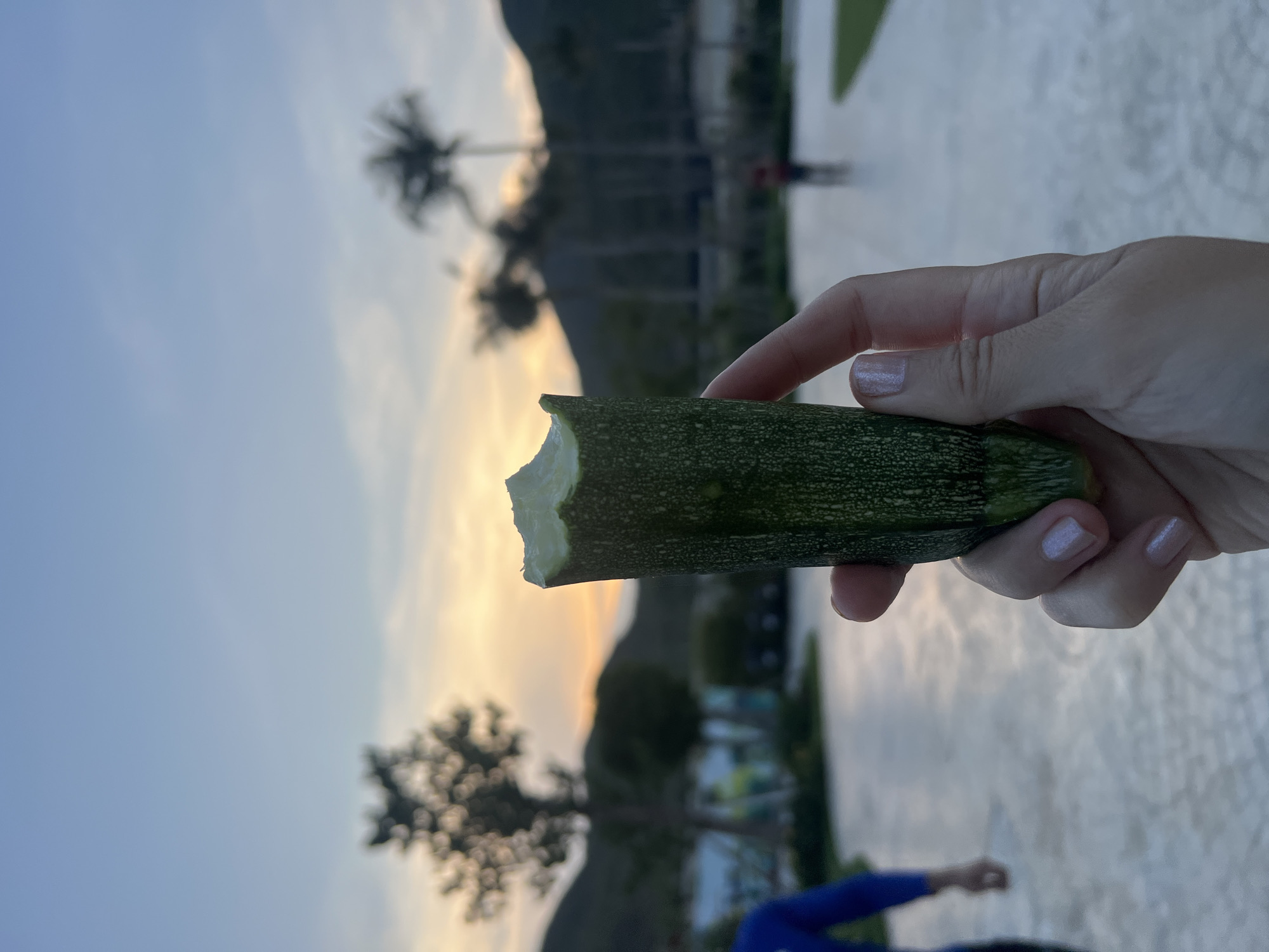 A person is holding a partially eaten zucchini. The zucchini is green and appears to have been freshly bitten. The person's hand is visible, with pale skin and manicured nails. The background features a blurred cityscape with a sunset sky, palm trees, and other foliage. The scene appears to be in Bac Nha Trang Ward, Vietnam. The image is slightly blurry and possibly taken at dusk or dawn. A person in a blue shirt can be seen walking near the ground.