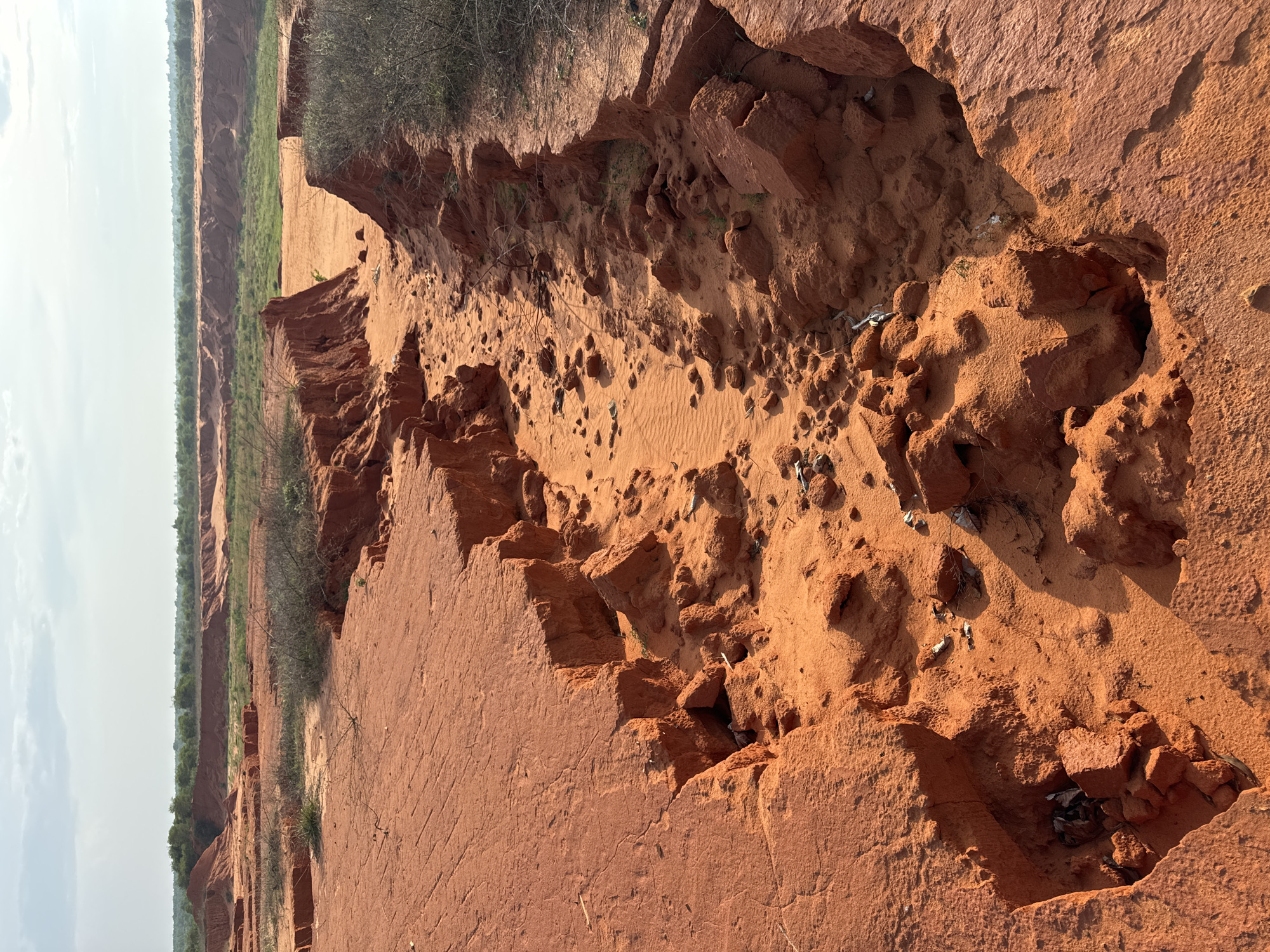 The image depicts a desolate, arid landscape characterized by towering red sand formations and deep gullies. The terrain is predominantly orange-red sand, sculpted by erosion into sharp cliffs and natural pathways. Sparse, dry vegetation dots the landscape, with some bushes clinging to the edges of the eroded sand. In the distance, a line of trees suggests a more verdant area, contrasting with the immediate desert-like environment. The sky above is pale blue with scattered clouds, indicating a clear but possibly hot day. The scene is devoid of any human presence or activity, emphasizing the wild and untamed nature of the location. This geological formation is consistent with the Red Sand Dunes in Mui Ne, Vietnam, a popular tourist destination known for its dramatic sandy landscapes shaped by wind and water.