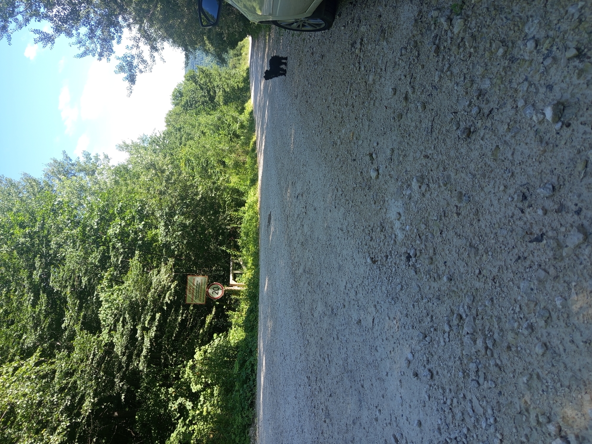 The image depicts a narrow, unpaved road flanked by dense green trees on either side. The road surface is composed of gravel and small stones. In the background, a sign is visible on a wooden post. This sign is rectangular with text and a circular speed limit sign showing "20". The sky is clear and blue with a few scattered clouds. To the right of the road, a small black dog is standing. The rear portion of a white car is also visible on the right side of the frame, with its side mirror extended. The overall scene suggests a rural or natural setting, possibly a forest road. The location is identified as Giaginskaya, Russia.