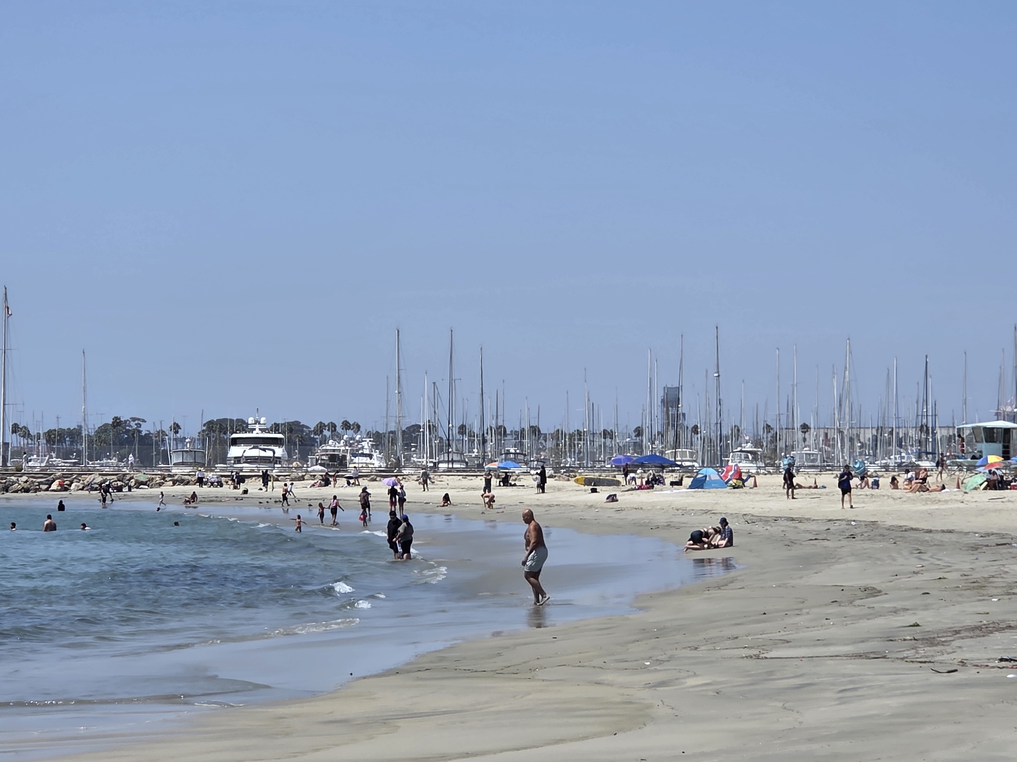 The image shows a sunny day at a crowded beach in Long Beach, California, with the Pacific Ocean in the foreground and a marina filled with sailboats and yachts in the background. People are engaged in various beach activities, including swimming, sunbathing, and playing in the sand. Several colorful beach umbrellas and tents are set up along the shore. The water is a light blue with gentle waves, and the sky is clear and bright. The overall atmosphere is one of leisure and recreation.