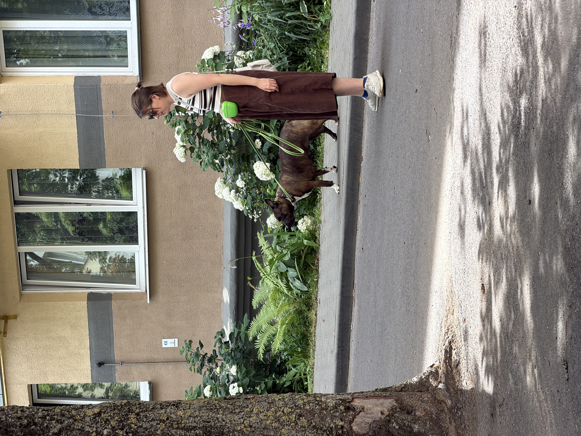 A woman with short brown hair and sunglasses is standing on a sidewalk next to a building. She is wearing a striped tank top, a brown midi skirt, and white sneakers. She is holding a leash attached to a dog that is walking beside her. The dog is a medium-sized brindle pit bull. Behind the woman and dog is a sidewalk with a planter bed containing white flowers and ferns. The building behind the planter bed is a two-story building with beige and gray siding and several windows. A tree trunk is visible in the foreground to the left of the frame. The scene appears to be on a street in Minsk, Belarus, indicated by the "KK" marker on the building, which is a common designation for apartment buildings in Minsk.