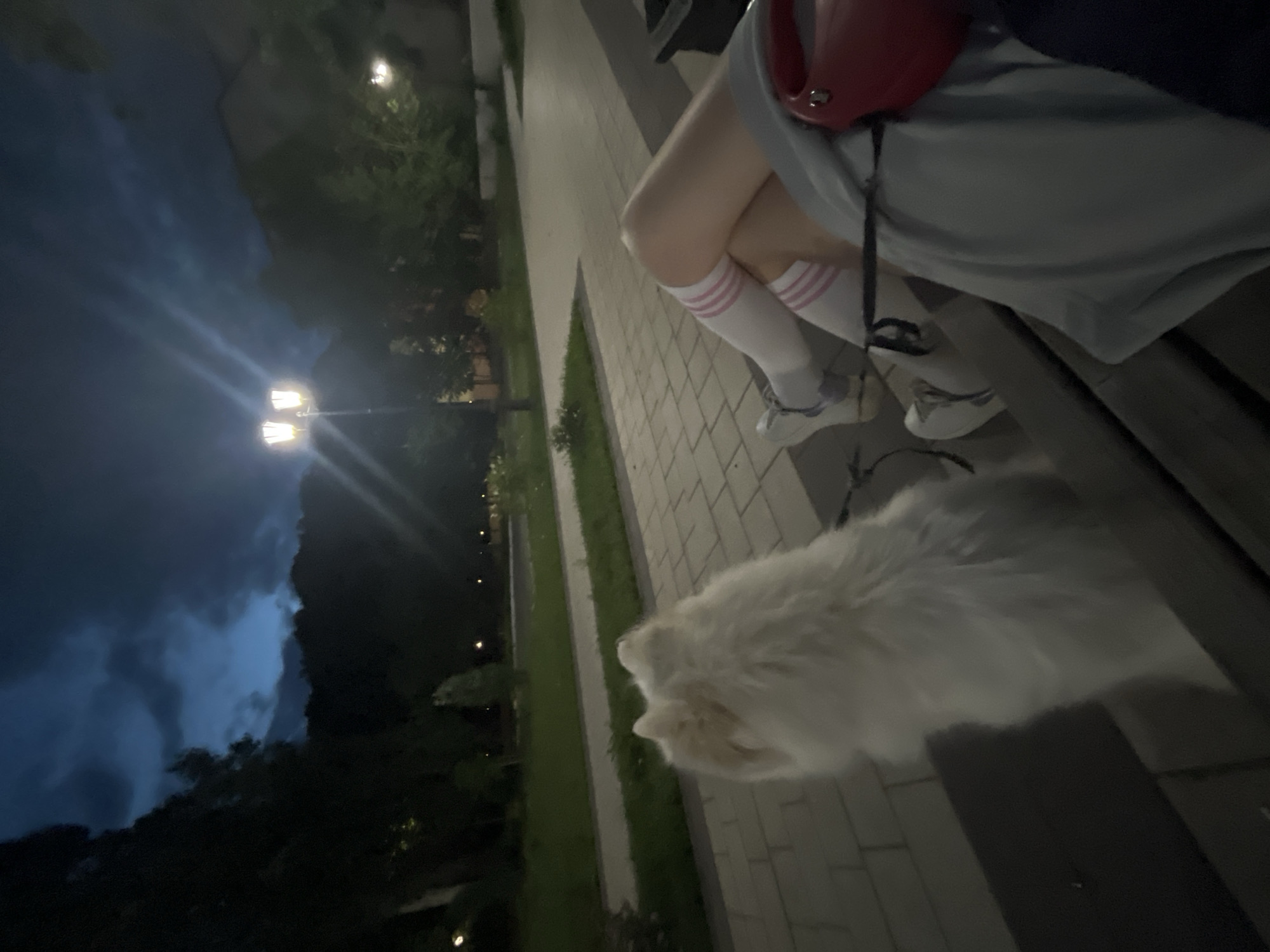 A white dog, facing away from the camera, sits on a bench in a park at dusk. The dog's fluffy tail is visible. Next to the dog, a person's legs are visible, wearing thigh-high white socks with pink stripes and athletic shoes. They are also wearing a light blue shirt or hoodie. A red dog leash dispenser is attached to the person's clothing. The park has paved walkways, grass, and trees. A street lamp with two lights is visible in the background, illuminating the sky which is dark blue with some clouds. Buildings can be seen in the far distance.