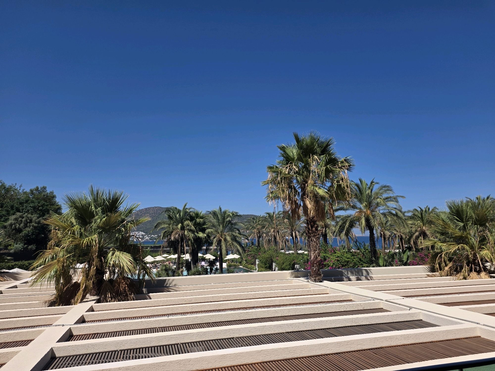 This image captures a bright, sunny day with a clear blue sky, overlooking a resort or hotel area. In the foreground, a modern outdoor structure with a beige, slatted roof system is prominently featured. Beyond this structure, a lush green landscape unfolds, characterized by numerous palm trees of varying sizes. In the middle ground, a swimming pool area is visible, with several white umbrellas providing shade and a few people enjoying the water. Further in the background, a body of water, likely the sea, is present, with a hilly coastline and a town with white buildings visible in the distance. The overall scene conveys a relaxed, tropical vacation atmosphere.