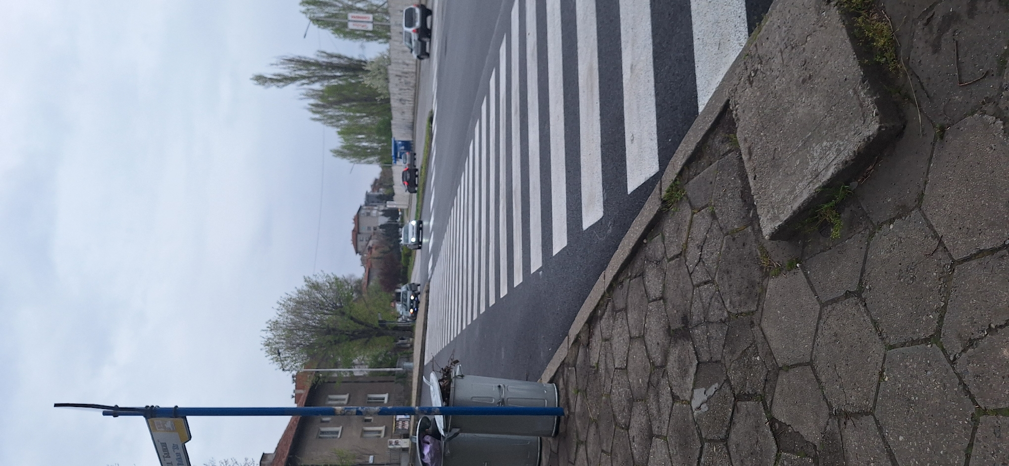 The image depicts a street scene in Blagoevgrad, Bulgaria. A pedestrian crosswalk is visible, with black and white stripes. Traffic is present on the road. A sidewalk with hexagonal paving stones is adjacent to the crosswalk. A curb separates the sidewalk from the street. A blue pole with a sign is present on the left side of the image. Buildings and trees are visible in the background. The sky is overcast. A garbage bin is visible near the blue pole.
