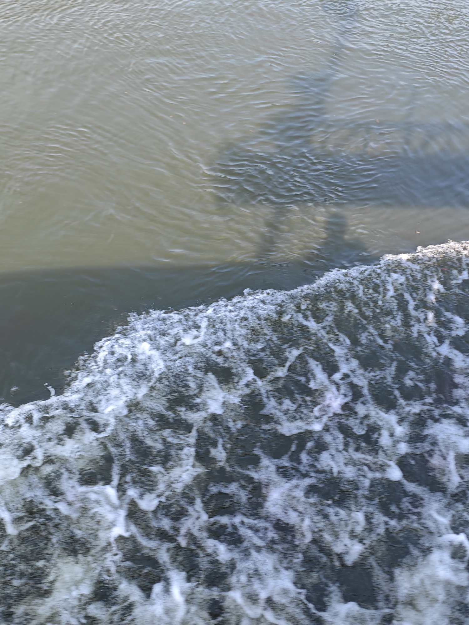 The image shows a body of water, possibly a river or lake, with a distinct line of white foam and ripples in the foreground, suggesting movement. The water in the background is calmer and reflects a shadow that appears to be of a person. The water is a murky greenish-brown color. The scene is captured from a high angle, looking down onto the water. There is no discernible urban infrastructure or any specific landmarks that would definitively place this image in Podporozh'e, Russia. The image is a close-up of the water's surface.