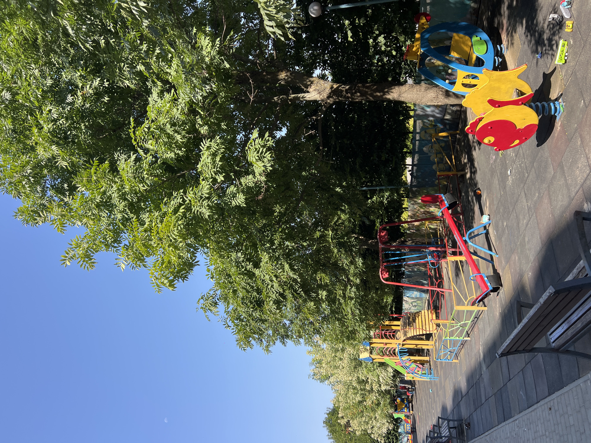 A sunny day at a children's playground located in Fontanka, Ukraine. The playground features a variety of colorful equipment including a large yellow and red slide, a red swing set with blue chains, a red and blue seesaw, a yellow and blue spring rider shaped like a helicopter, and a red and yellow spring rider shaped like a fish. The ground is covered with black rubber matting. Benches are placed along the edge of the playground. Lush green trees with dense foliage surround the area, with some lighter green foliage in the background. The sky is clear blue with a faint crescent moon visible.