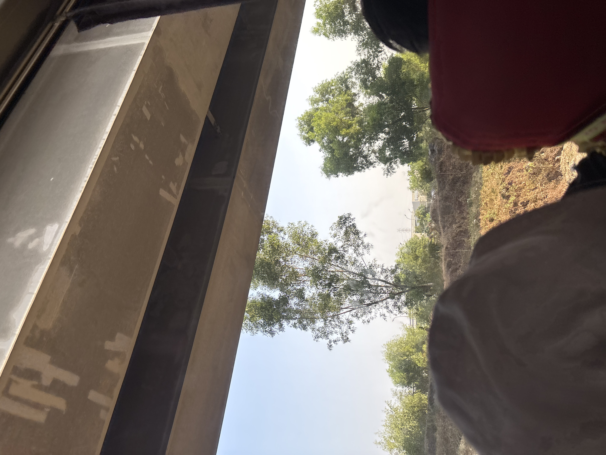 The image depicts a view from inside a vehicle looking out towards a rural or semi-rural landscape under a bright, clear sky. In the foreground, the heads of two individuals are visible, one on the left with a light brown covering, and another on the right wearing a black head covering, partially obscuring a red seat. The vehicle appears to be traveling beneath a large concrete overpass or bridge, with its underside clearly visible and showing some signs of wear and discoloration.
Beyond the overpass, a line of trees, predominantly eucalyptus-like with their slender trunks and sparse, green foliage, stretches across the scene. Some of the trees appear taller and more mature than others, with a denser canopy. In the mid-ground, there is evidence of industrial or commercial activity. A building with the "PUMA" logo is discernible, surrounded by greenery and some piles of debris or earth. There are also signs of infrastructure, such as what appear to be power lines or poles. The overall impression is one of a transitional area between urban development and natural landscape. The lighting suggests it is daytime, with the sun casting shadows and illuminating the scene. The image is likely taken from a moving vehicle due to the perspective and slight blur. The scene is consistent with views observed in the outskirts of Karawang, Indonesia, where such overpasses and industrial areas are common alongside natural vegetation.