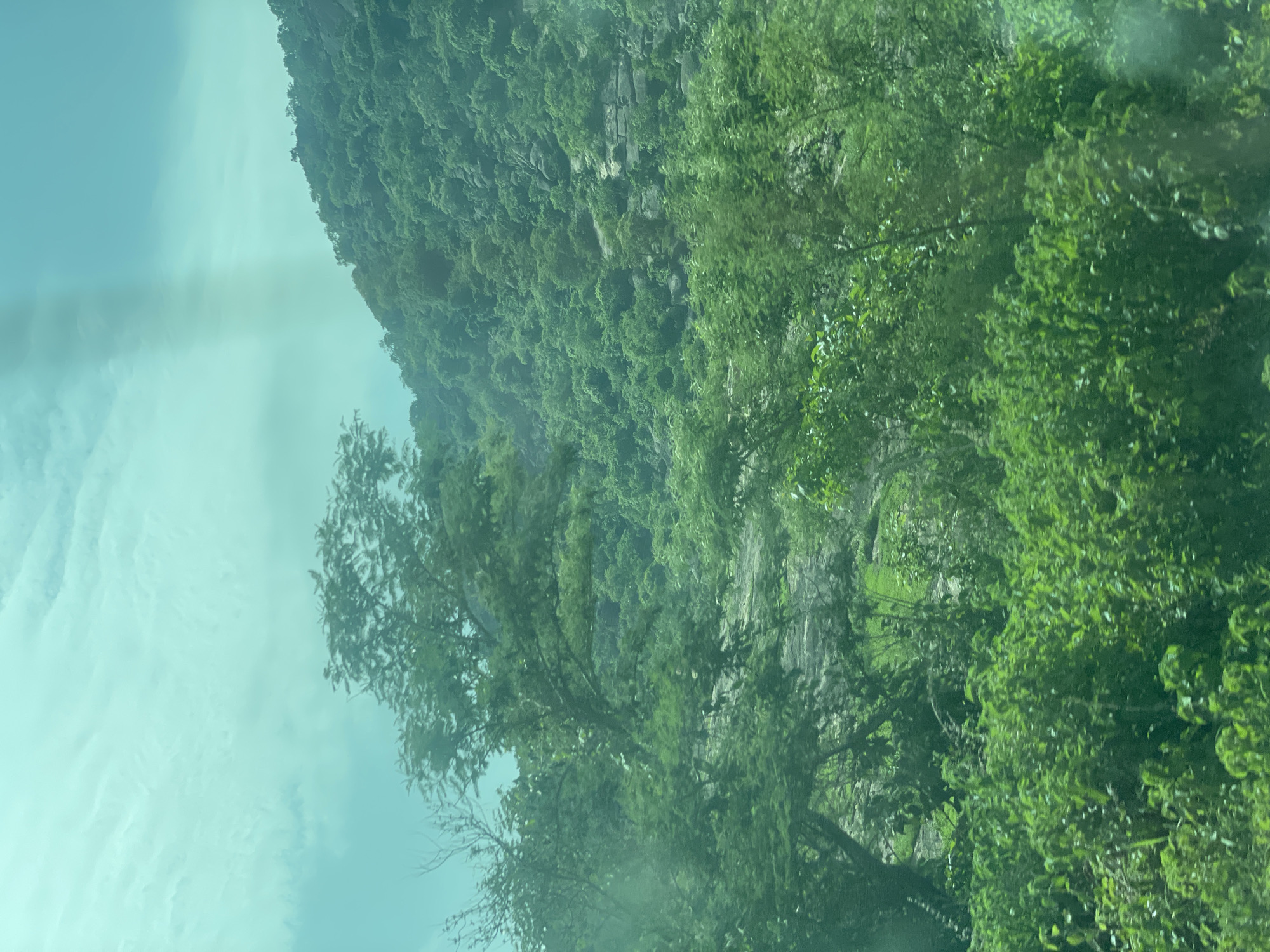 This media file captures a scenic view of a lush, green mountainside partially obscured by trees. The image is oriented vertically, suggesting it was taken from a moving vehicle looking upwards and to the side. The foreground is dominated by dense foliage, with leaves of various shades of green. Some branches and smaller trees are visible, some with bare branches indicating a possible dry season or a specific type of tree.
Behind the trees, a rocky mountainside rises steeply, covered in vegetation. The rocks are visible in places, appearing grey and weathered. The overall impression is one of a natural, untamed landscape. The sky is visible in the upper left portion of the frame, appearing bright and possibly overcast with some faint streaks that could be clouds or reflections on a surface.
The lighting suggests it is daytime, likely with diffused sunlight due to the overcast sky. There are no people or man-made objects clearly visible, emphasizing the natural setting. The image evokes a sense of peacefulness and the grandeur of nature.
There is no visible text in the image. Given the provided location context of Rimin Ziem, Nigeria, the scene likely depicts a mountainous or hilly region within that area, characterized by its vibrant green vegetation and rocky outcrops.