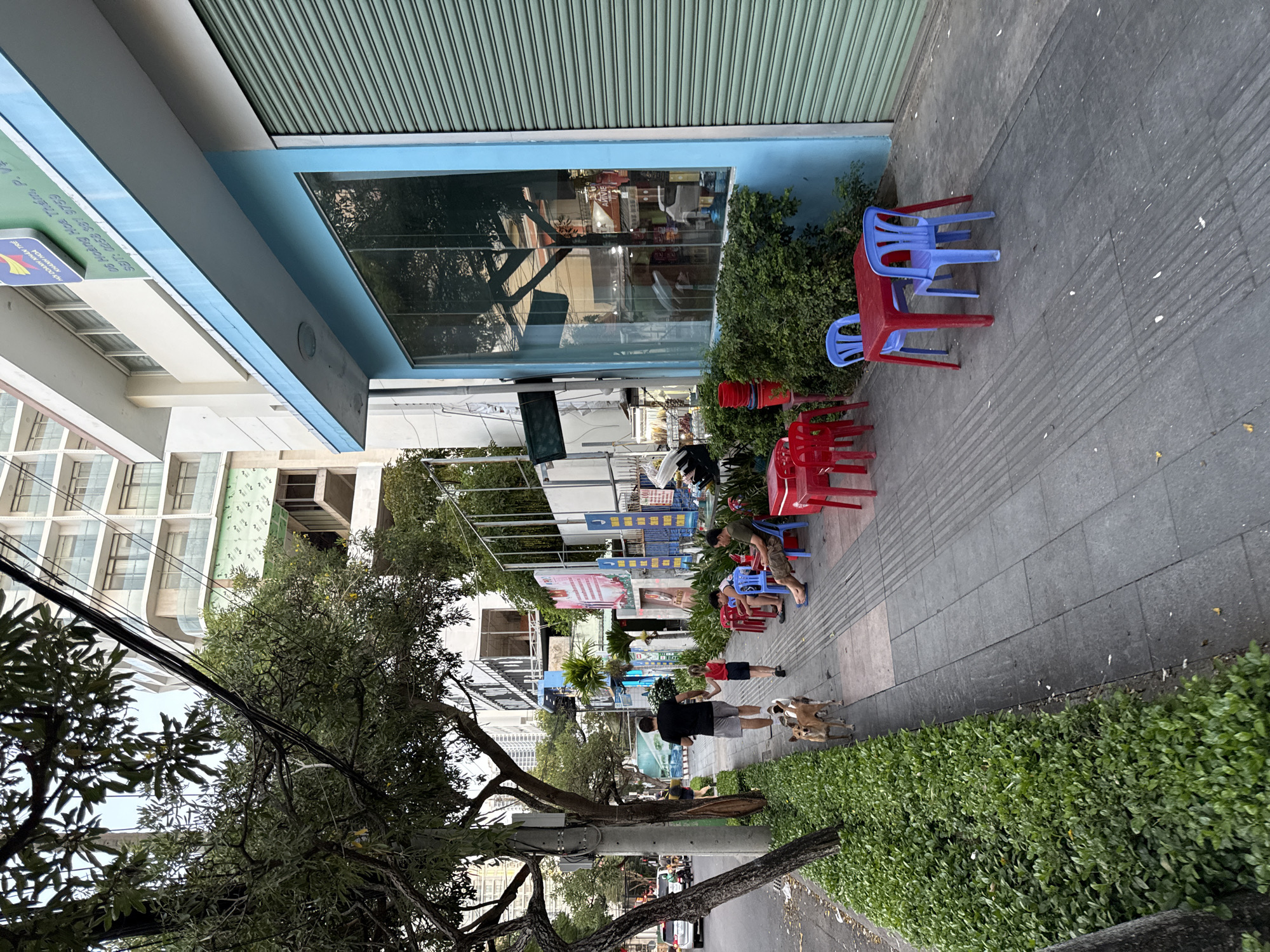 This image depicts a street scene in Nha Trang, Vietnam, featuring a blue-accented building with a large glass window and a green metal shutter. A sidewalk runs in front of the building, lined with lush green bushes. Several small red and blue plastic tables and chairs are arranged on the sidewalk, suggesting an outdoor seating area for a business.
In the foreground, a man and a young girl are walking hand-in-hand on the sidewalk, accompanied by two dogs. The man is wearing a black t-shirt and grey shorts, while the girl is in a red top and dark shorts. Further down the sidewalk, two men are seated at separate tables. One man, wearing a green shirt and camouflage shorts, is sitting at a blue chair. Another man, wearing a grey t-shirt and patterned shorts, is seated at a blue chair with a red table in front of him.
A street with passing vehicles is visible to the left of the sidewalk, separated by a tree-lined median and more green bushes. In the background, tall buildings rise, indicating an urban environment. The overall impression is of a casual, outdoor commercial area in a Vietnamese city.
