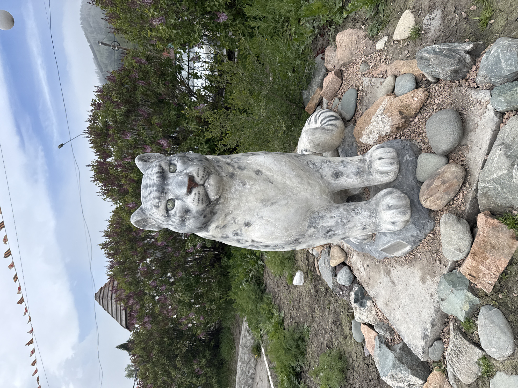 A statue of a snow leopard lies on a rocky outcrop, surrounded by smaller rocks and gravel in Ust-Koksa, Russia. The statue is made of a light-colored material and is partially obscured by greenery in the background. A building and sky are partially visible.