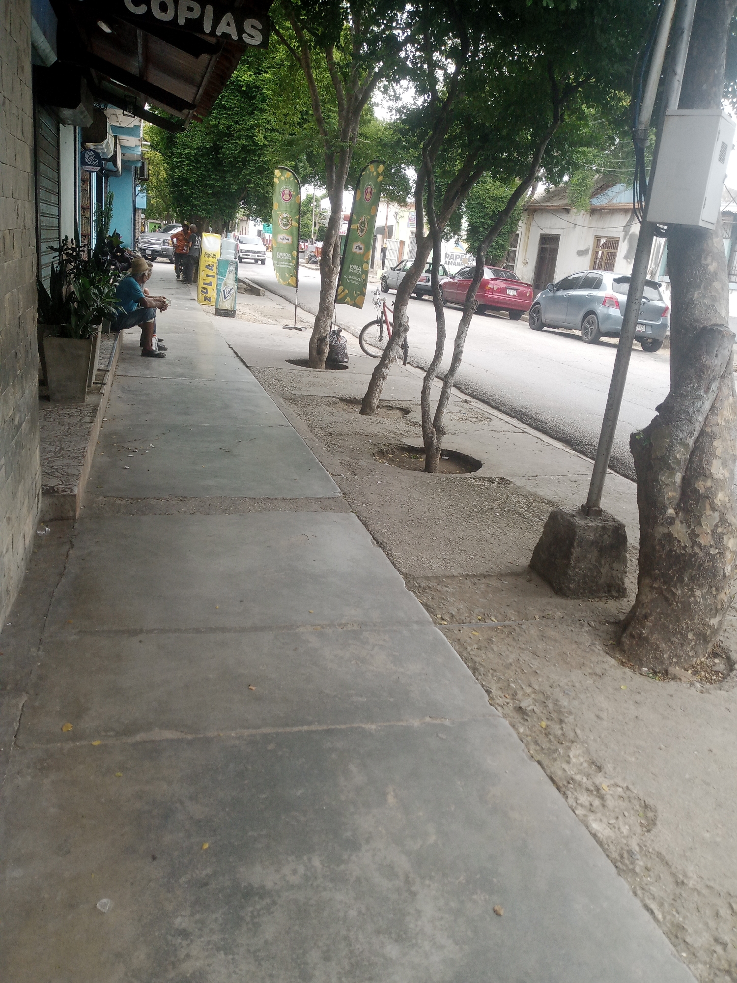 The image depicts a street scene in Santa Ana, Venezuela. On the left, a person sits on a bench in front of a building with a sign that reads "COPIAS." The building appears to be a commercial establishment, possibly a print shop. Several potted plants are visible near the entrance. A sidewalk runs along the front of the building, leading into the street.
The street is lined with trees, some of which have exposed roots. Several vehicles are parked on the street, including a red sedan and a silver hatchback. A bicycle is leaning against a tree. In the background, there are residential buildings. The overall environment suggests a typical urban setting in a warm climate. The lighting indicates it is daytime, with shadows cast by the trees and buildings.