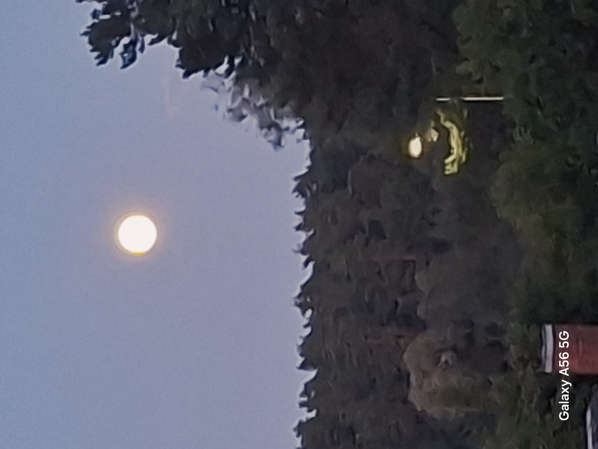 This is a photograph taken at night in Saliai, Lithuania, featuring a full moon in a pale blue sky. The moon is a bright, luminous orb with a halo effect. In the foreground, dark green trees form a dense forest line across the landscape. To the right of the frame, a street light is visible, emitting a yellowish glow and casting light on the surrounding foliage. In the bottom left corner, a watermark reads "Galaxy A56 5G".