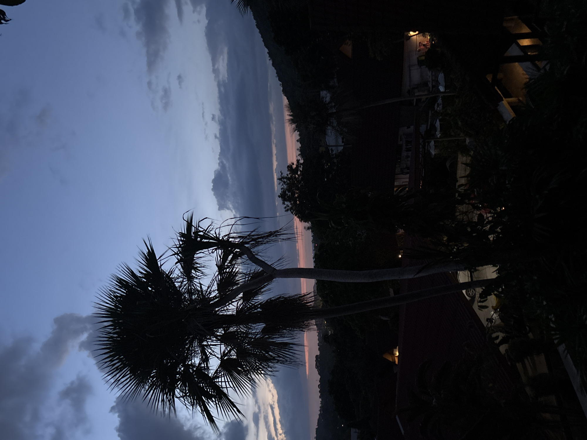 The image captures a dusky scene in บ้านบางรักษ์, Thailand, with a palm tree silhouetted against a twilight sky. The sky transitions from blue to pink, indicating either sunrise or sunset. Clouds are present in the sky. In the background, there's a dark mountainous or hilly terrain, along with obscured buildings. The foreground is dark, with foliage and glimpses of structures. Illumination from an unknown light source illuminates parts of the scene, making it difficult to accurately assess.